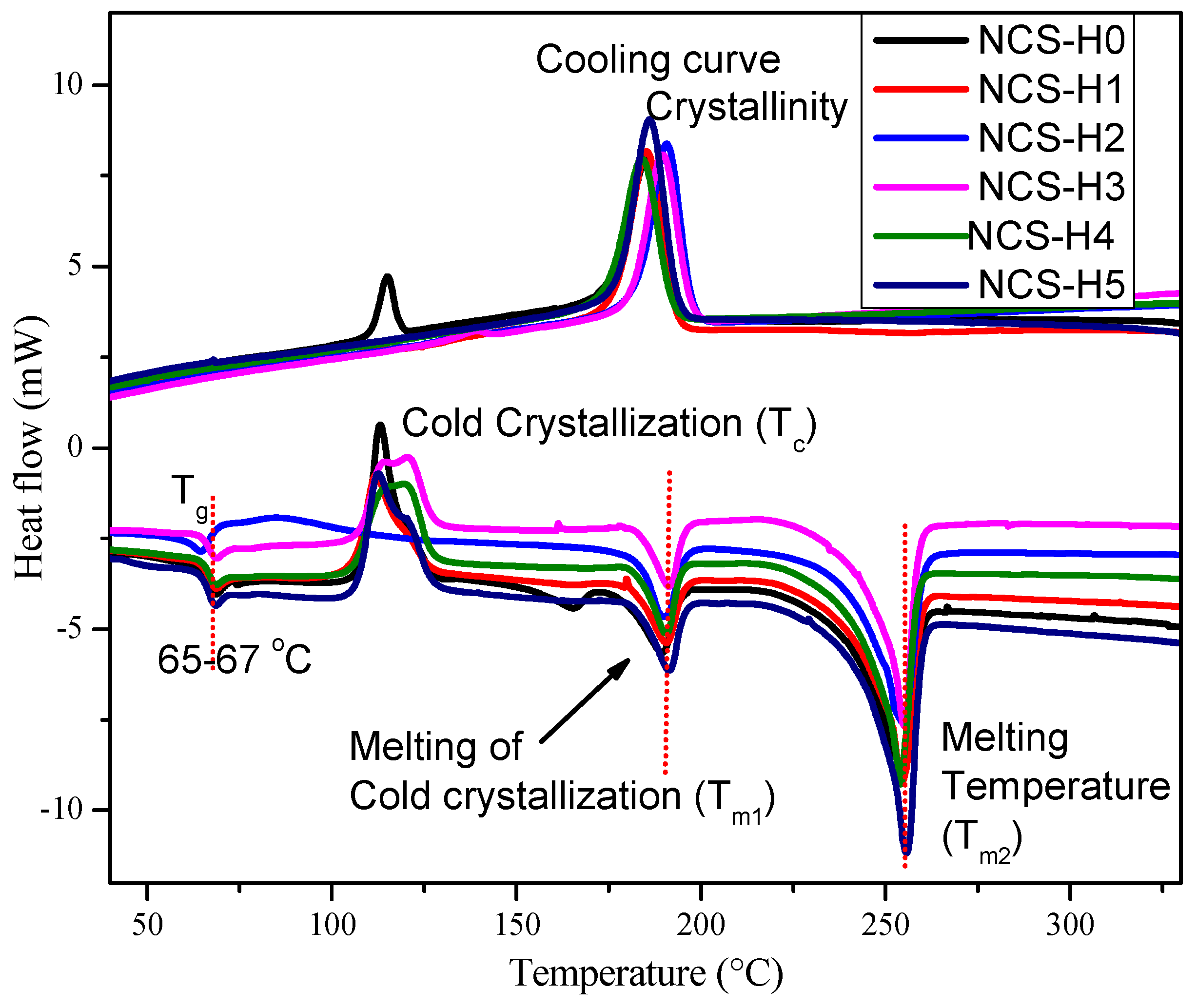 Polymers 17 01433 g010