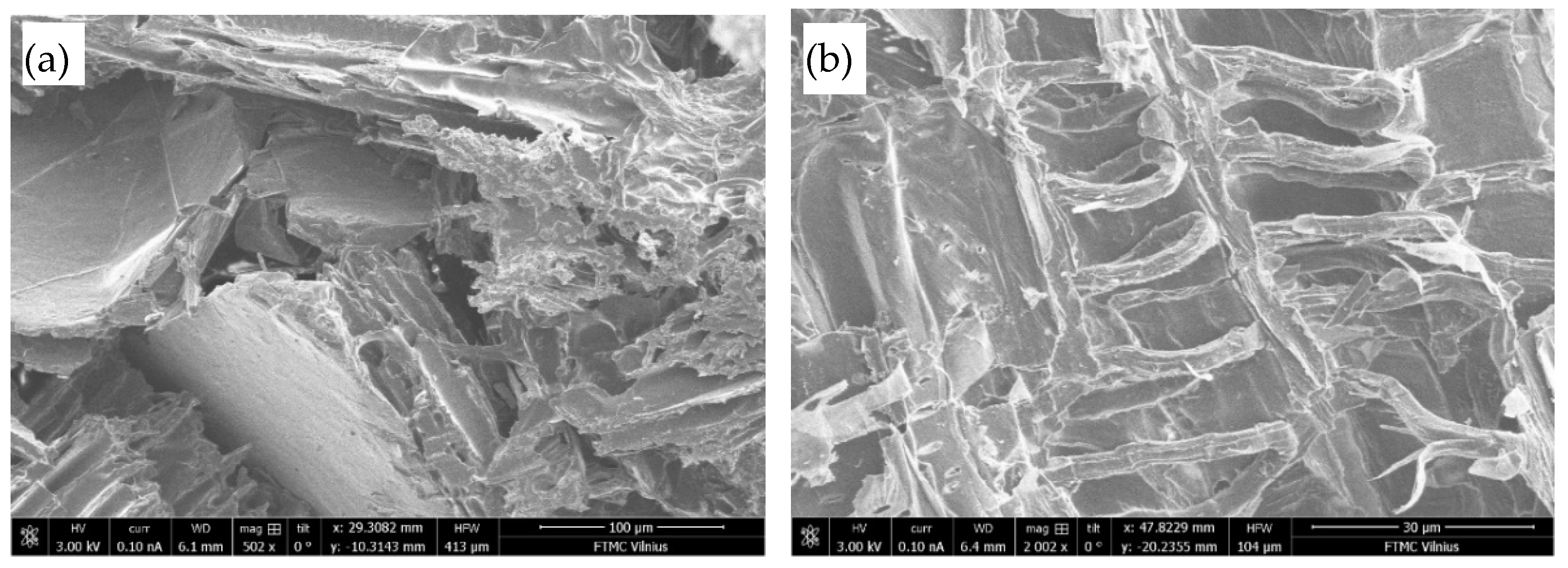 Polymers 17 01434 g009 Polymers 17 01434 g009