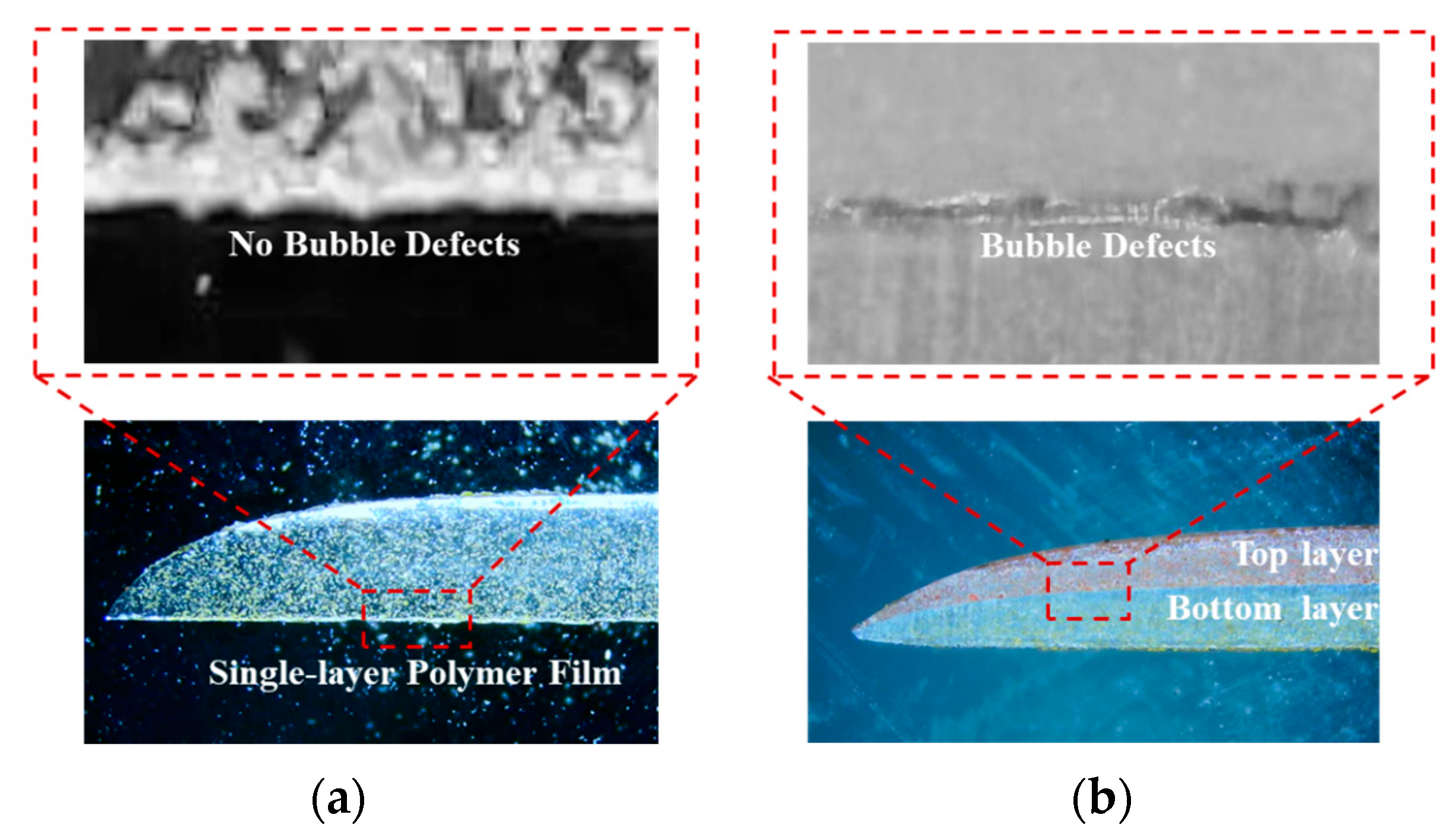Polymers 17 01436 g005