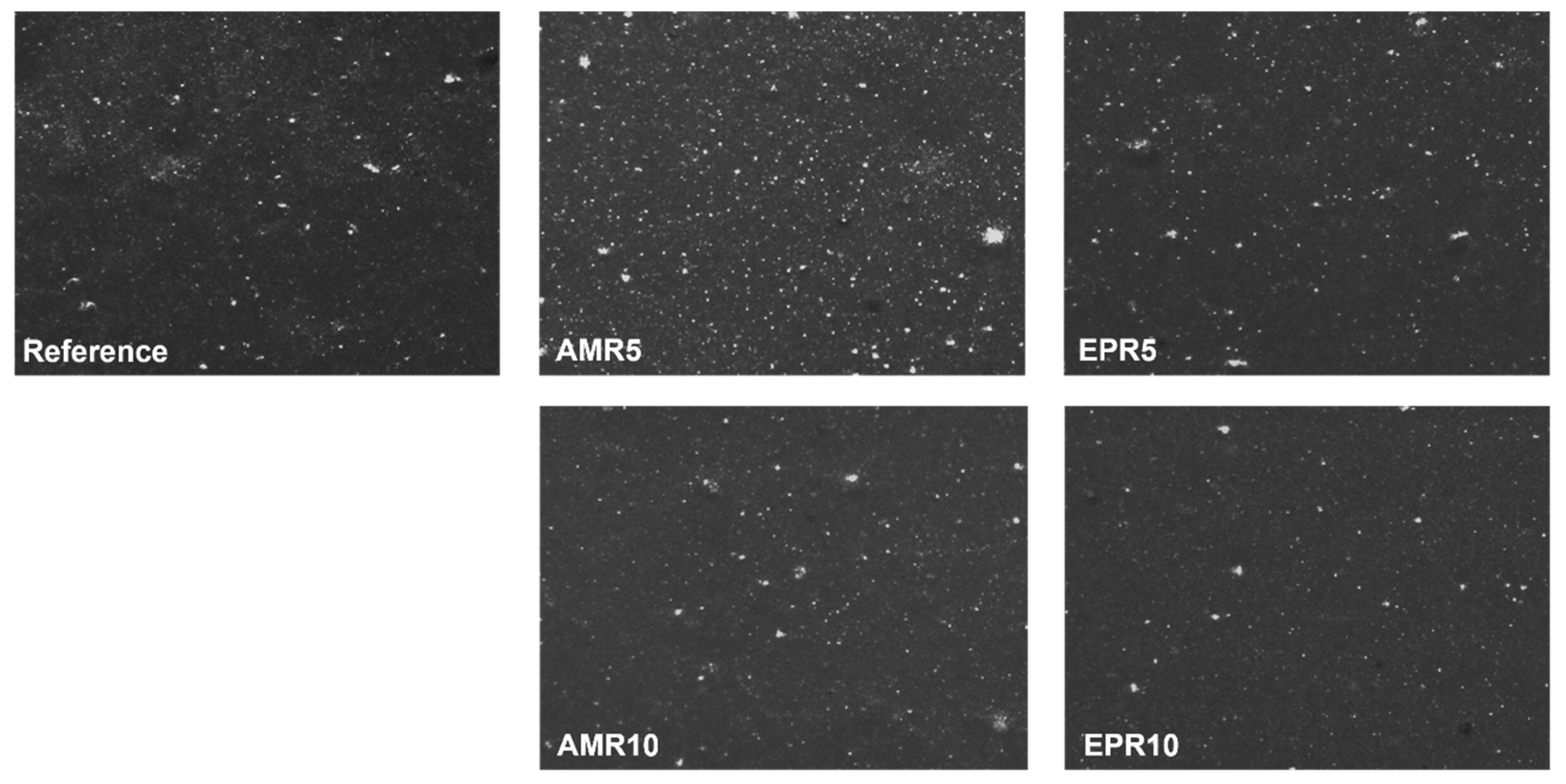 Polymers 17 01437 g005