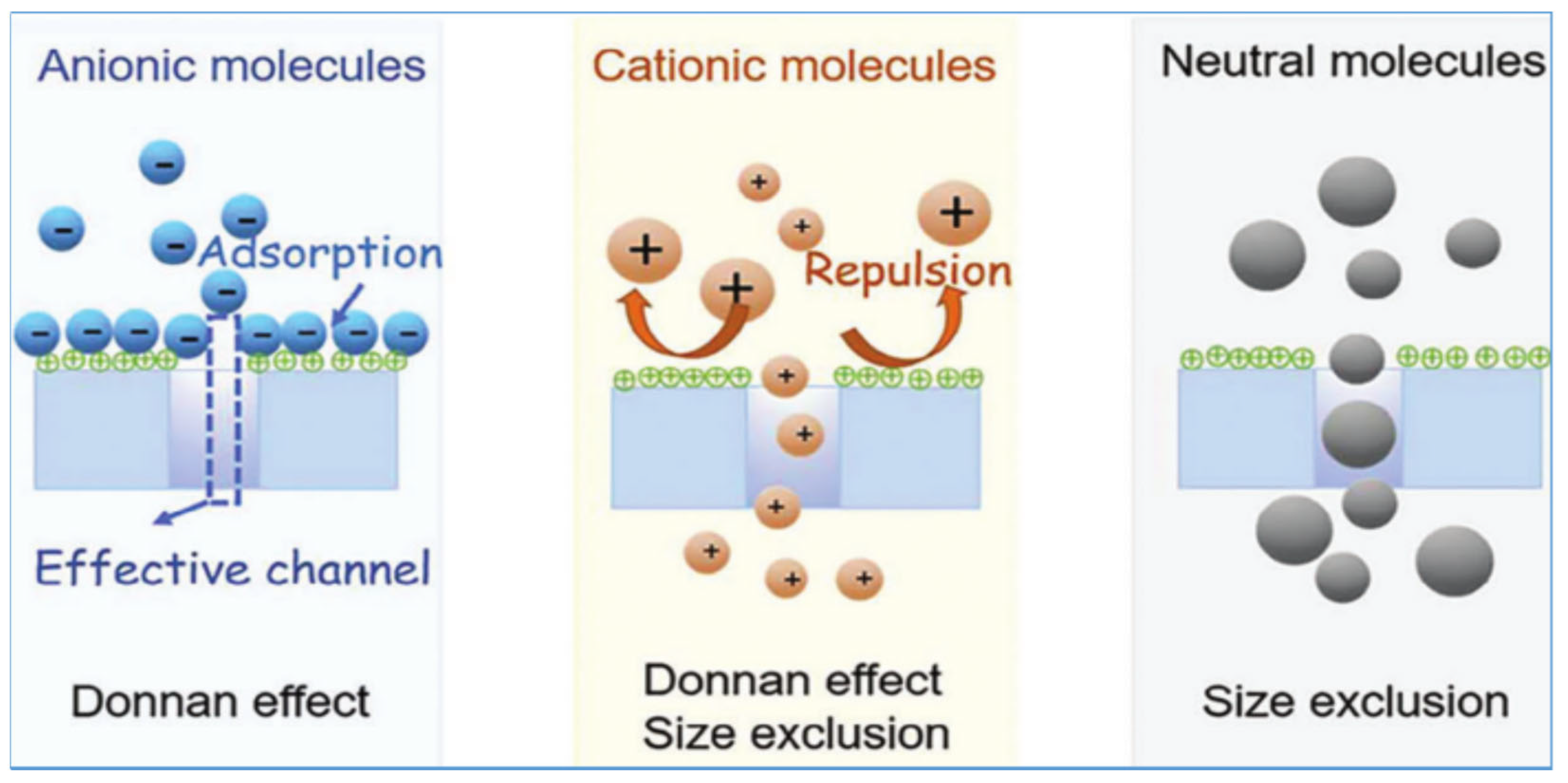 Polymers 17 01440 g001
