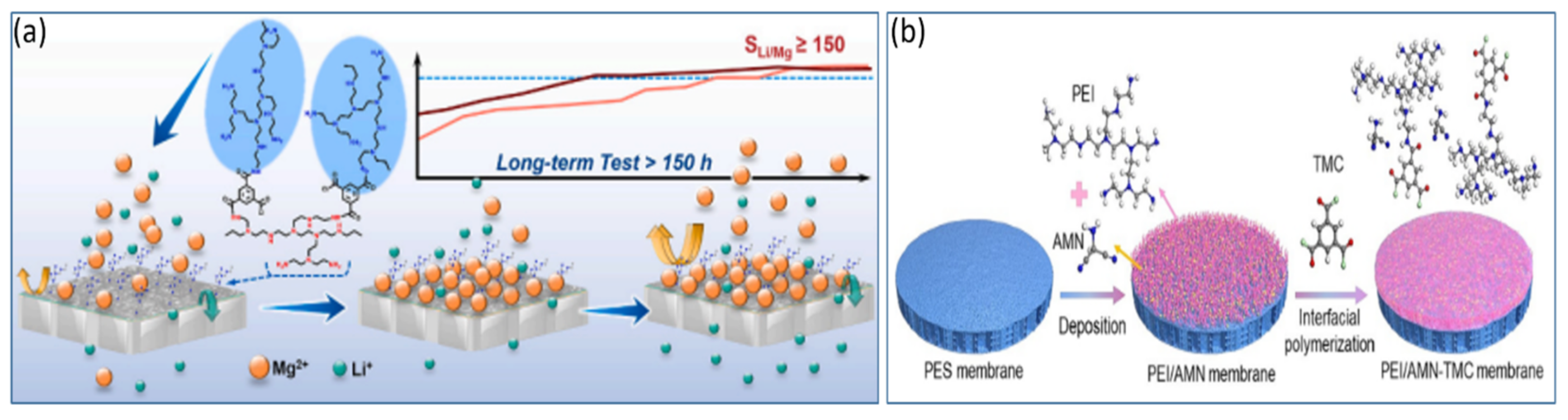 Polymers 17 01440 g009