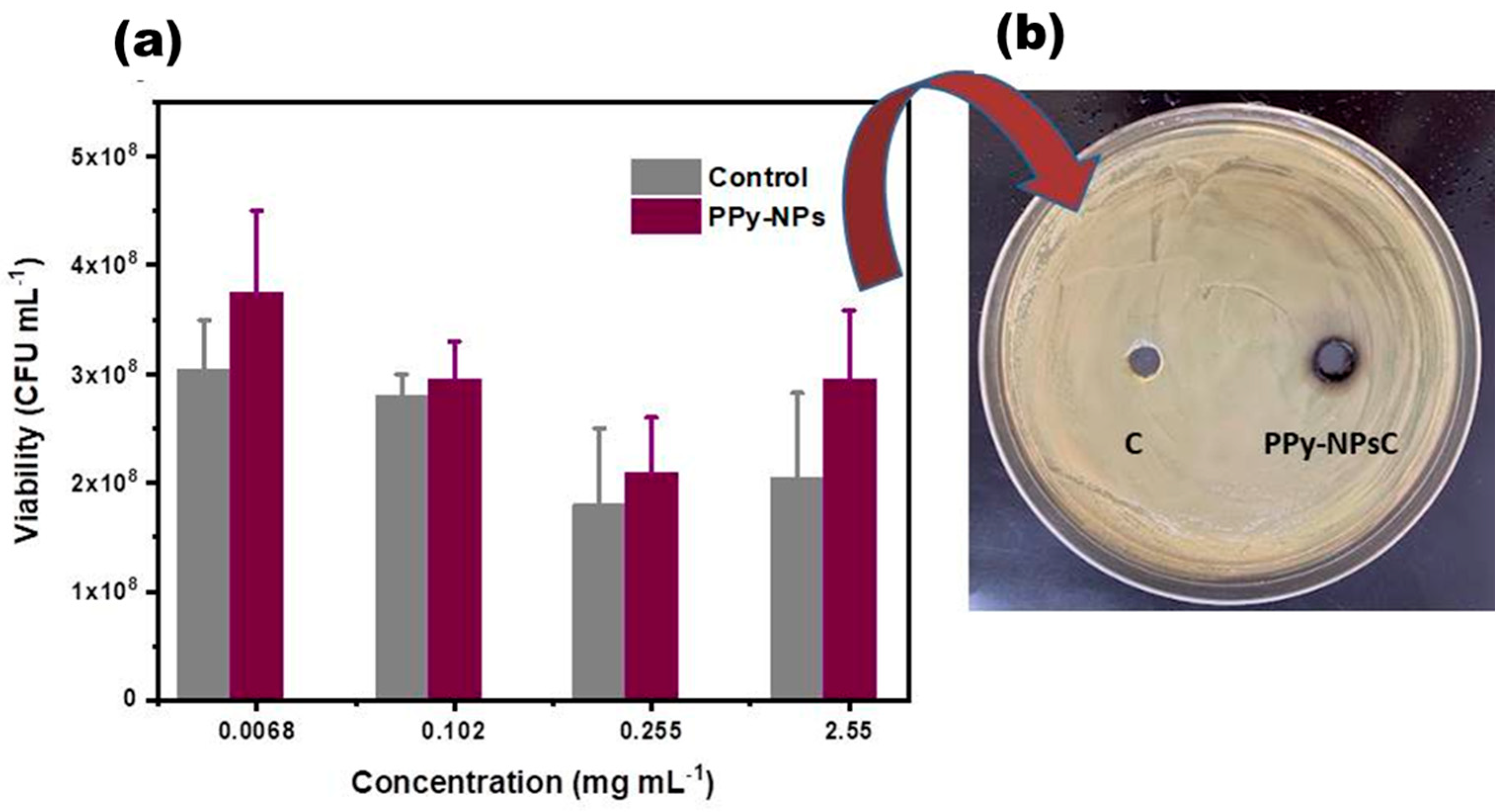 Polymers 17 01442 g006