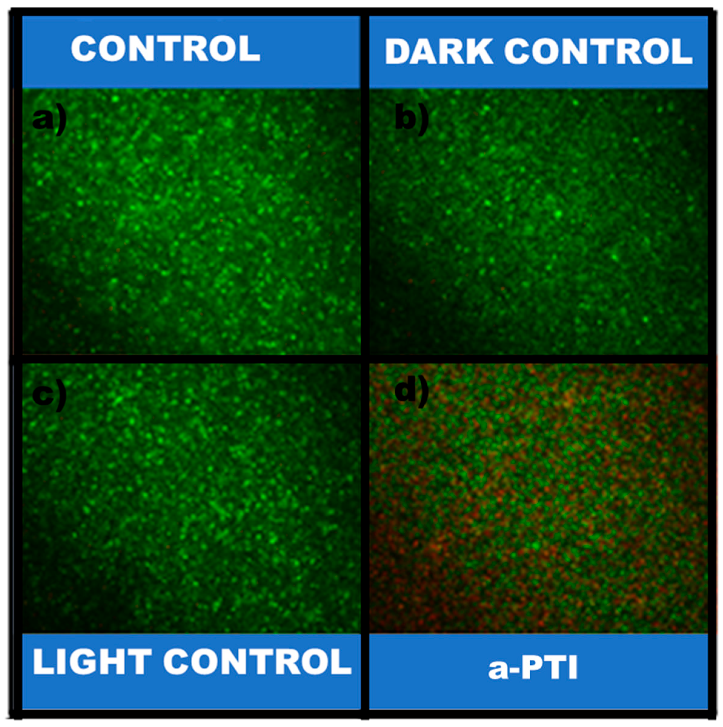 Polymers 17 01442 g008