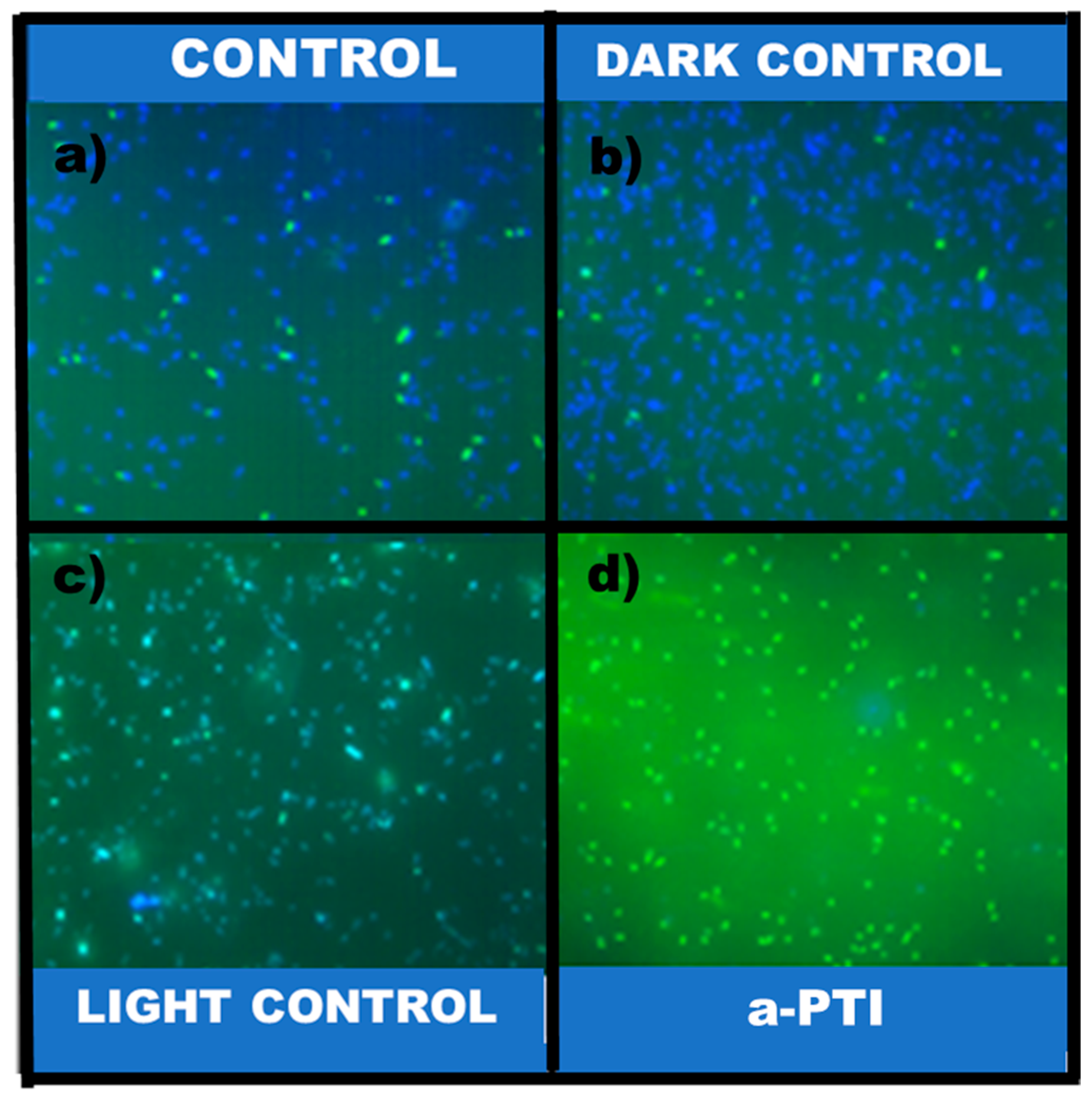 Polymers 17 01442 g009