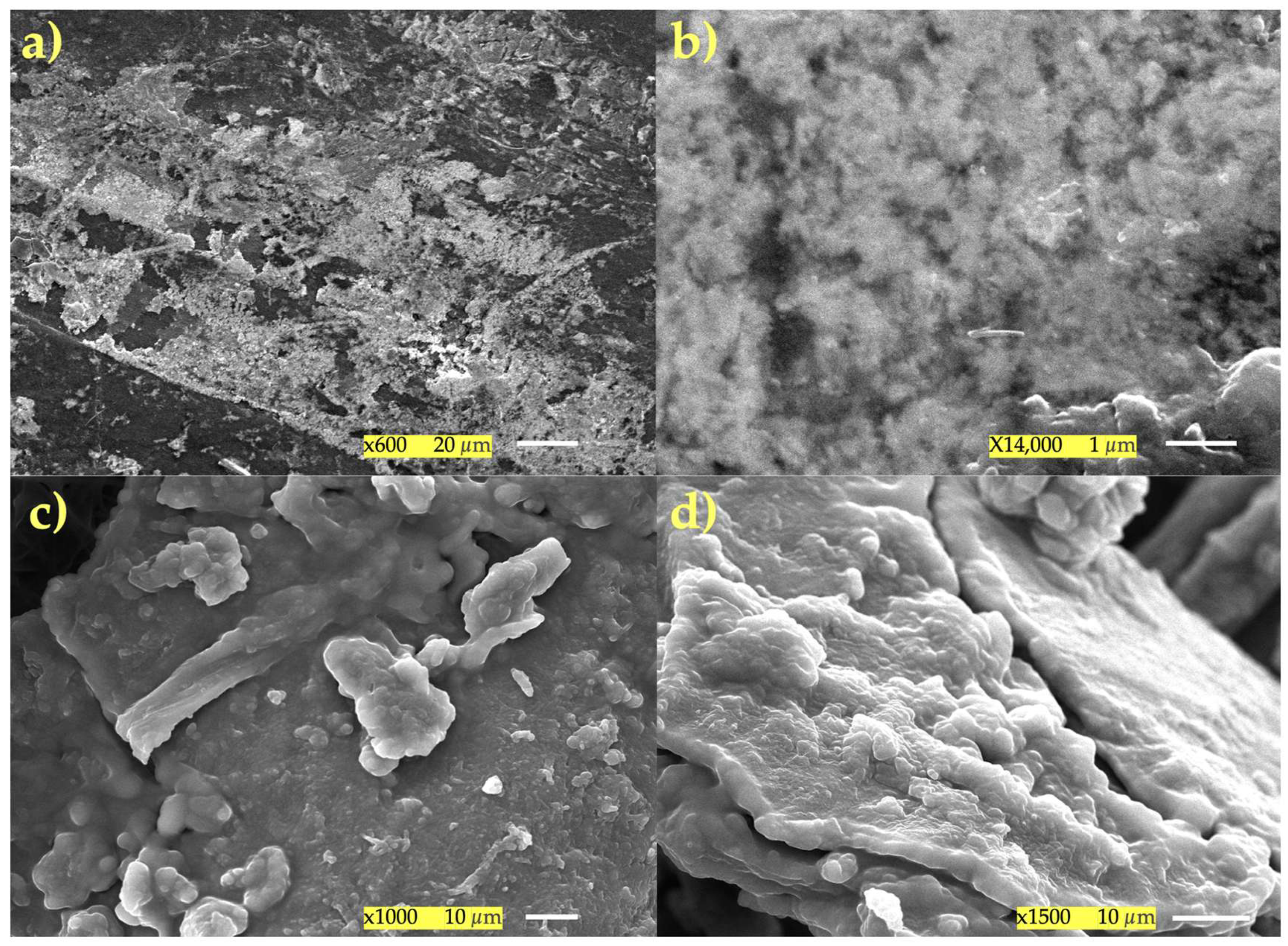 Polymers 17 01445 g008