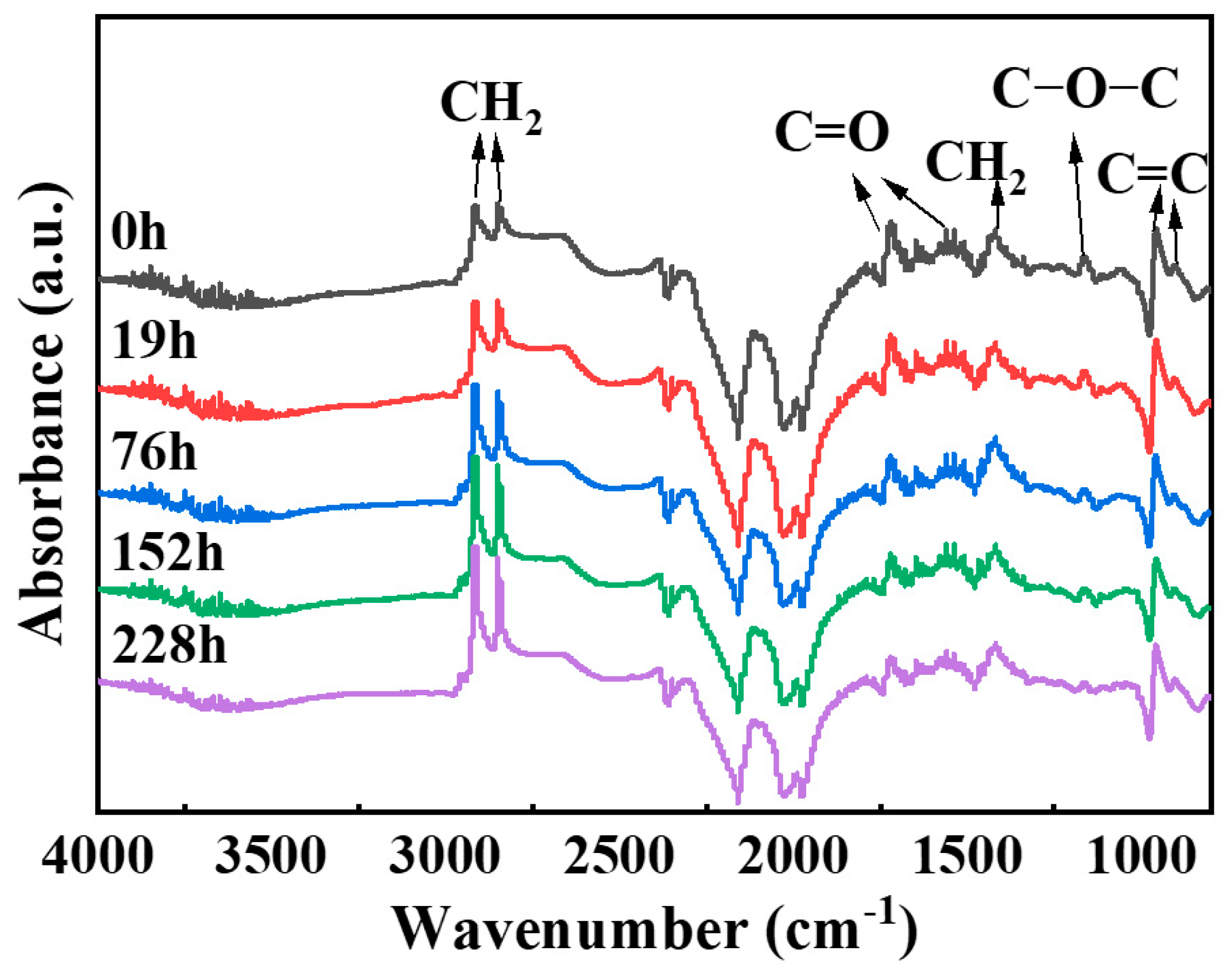 Polymers 17 01446 g002