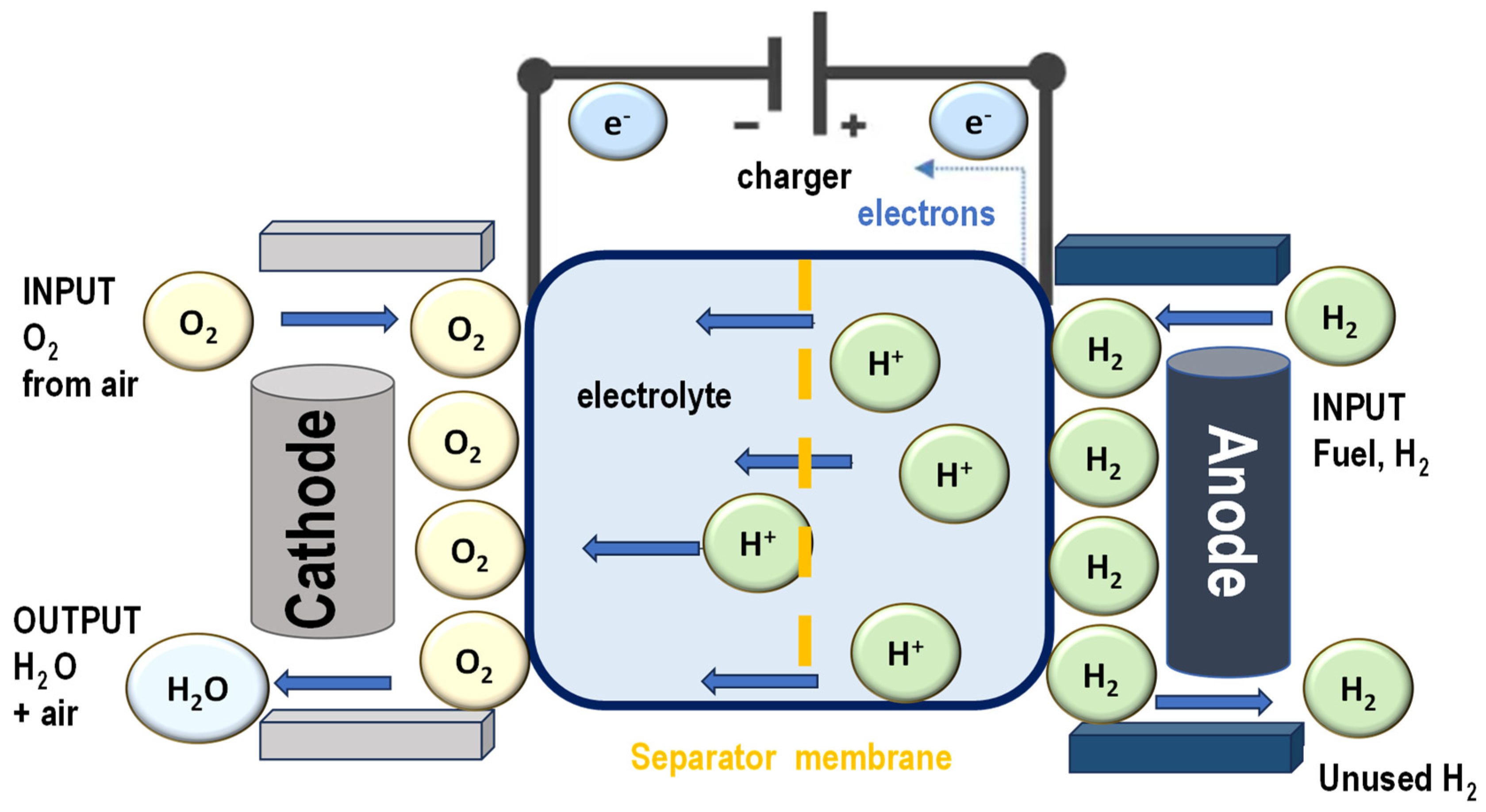 Polymers 17 01456 g005
