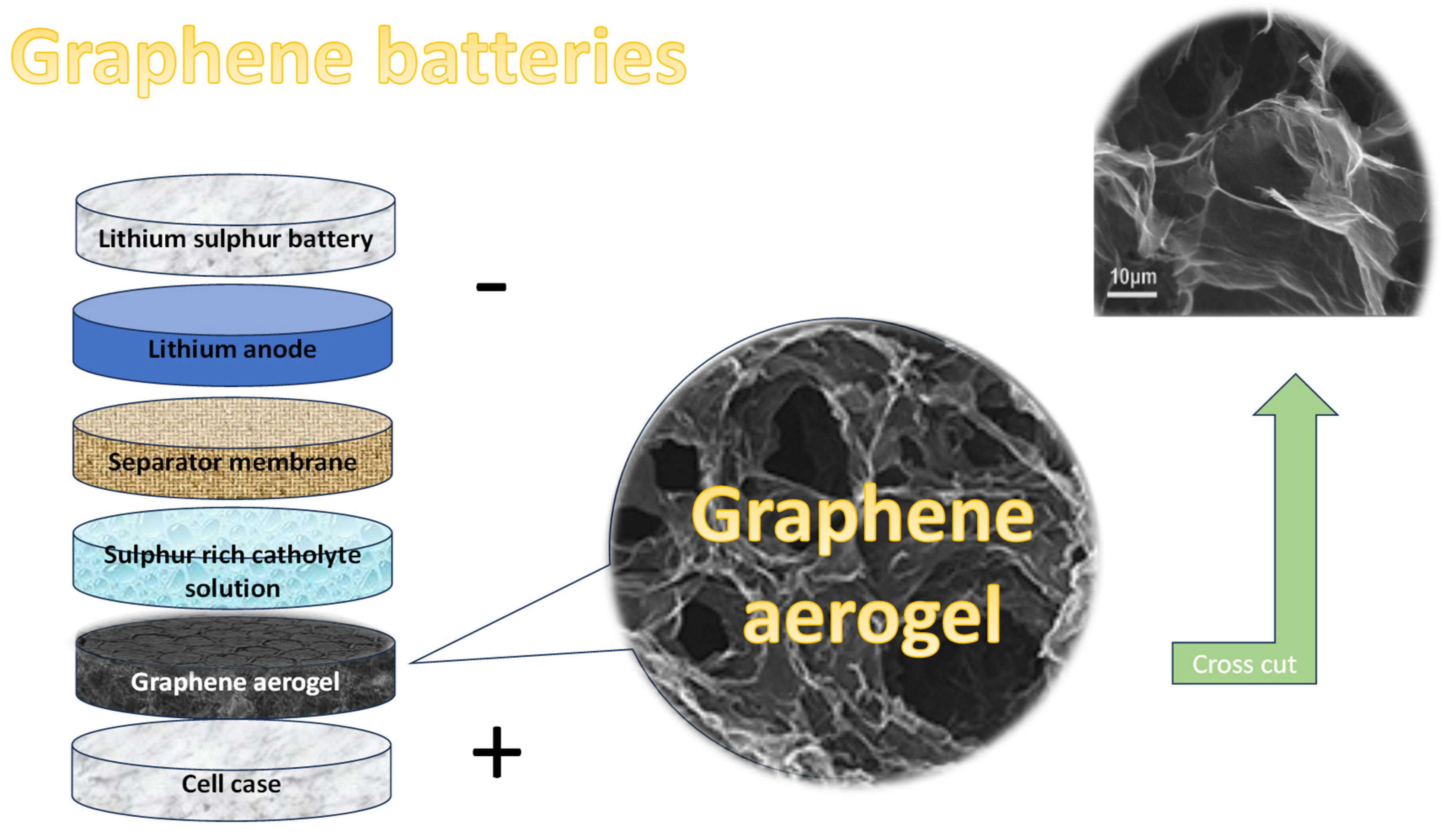 Polymers 17 01456 g006