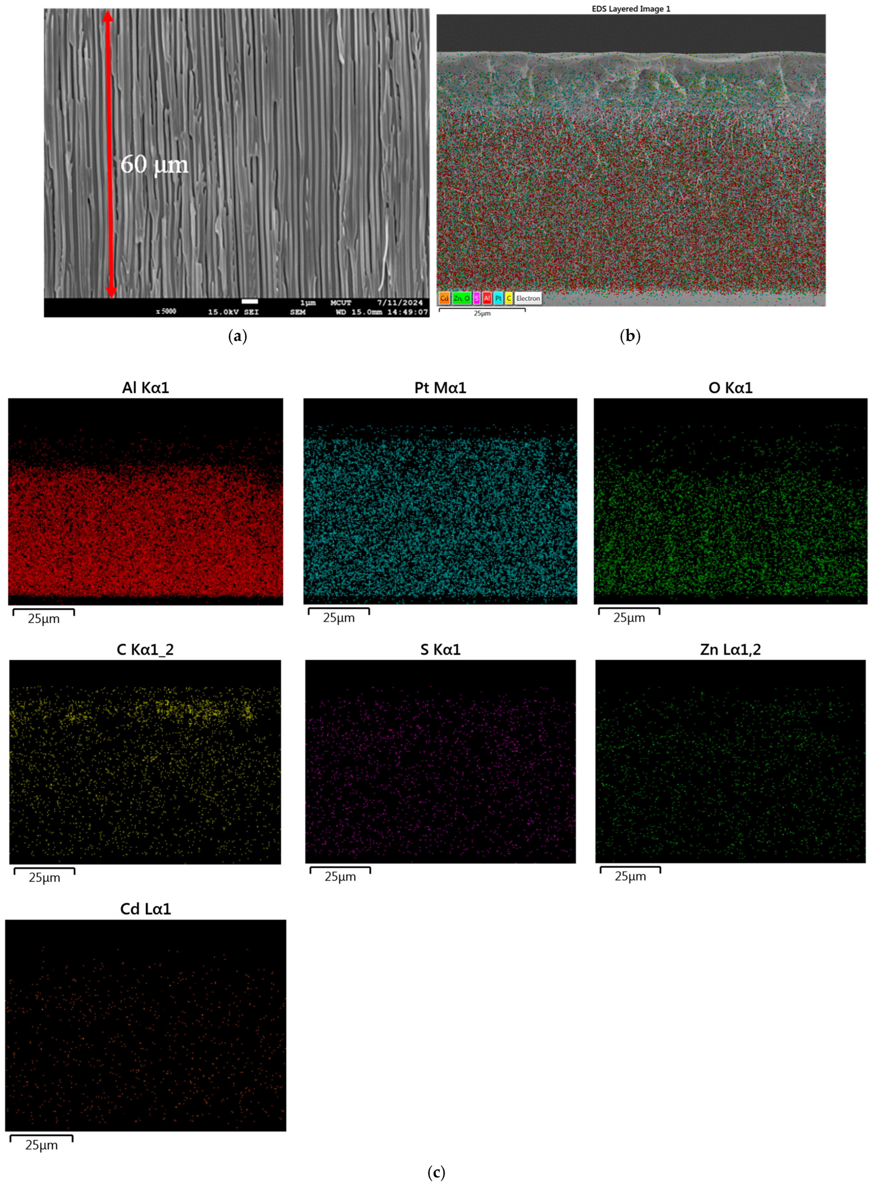 Polymers 17 01460 g006