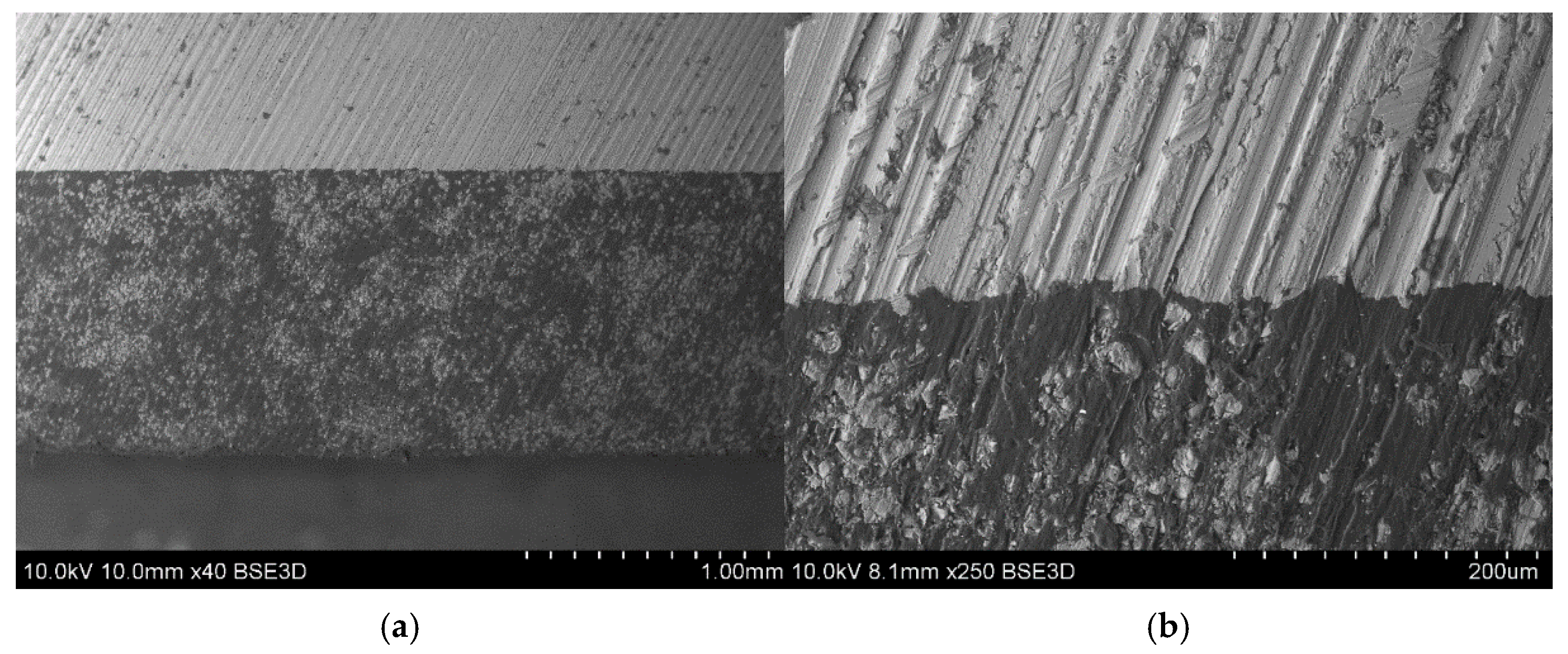 Polymers 17 01462 g005