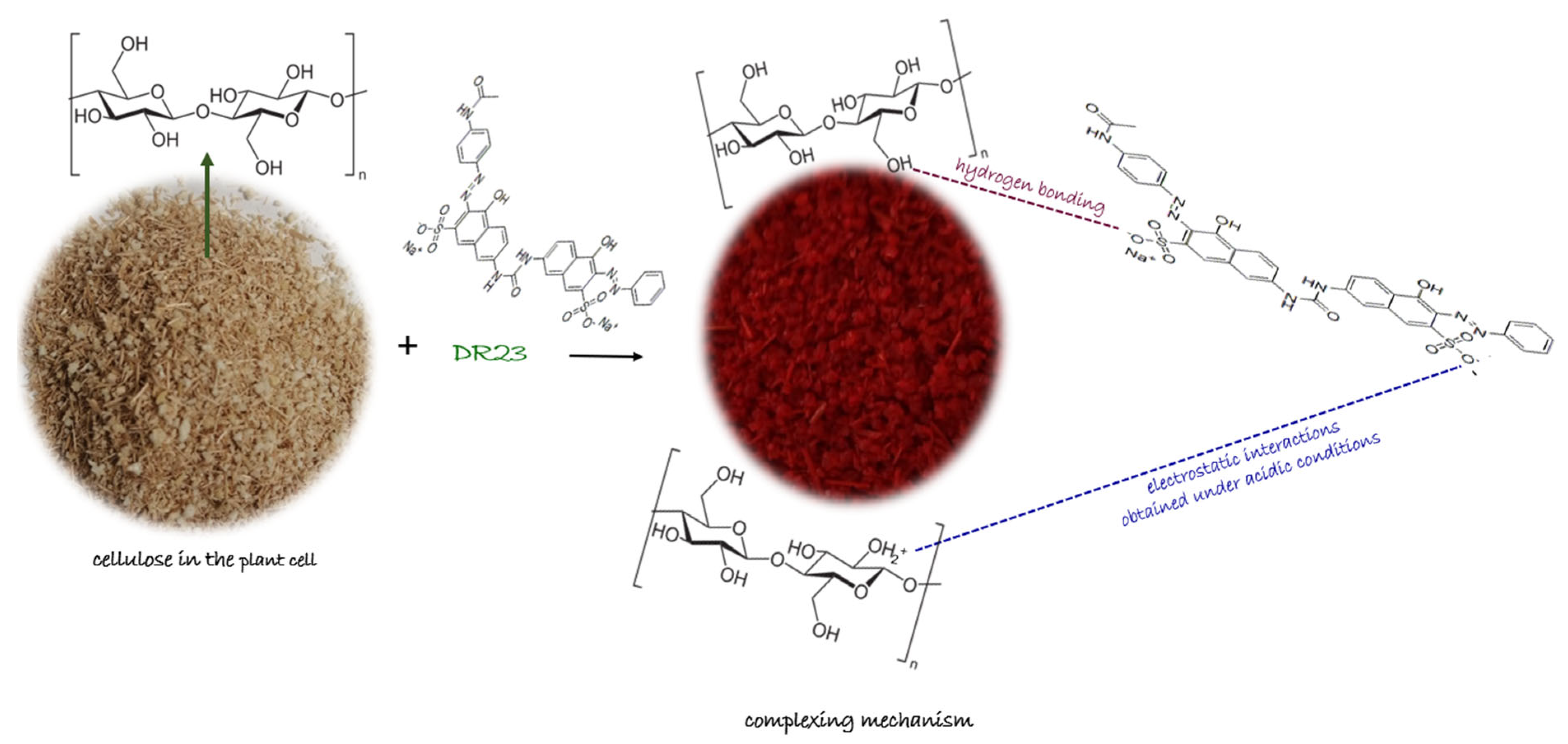 Polymers 17 01467 g003