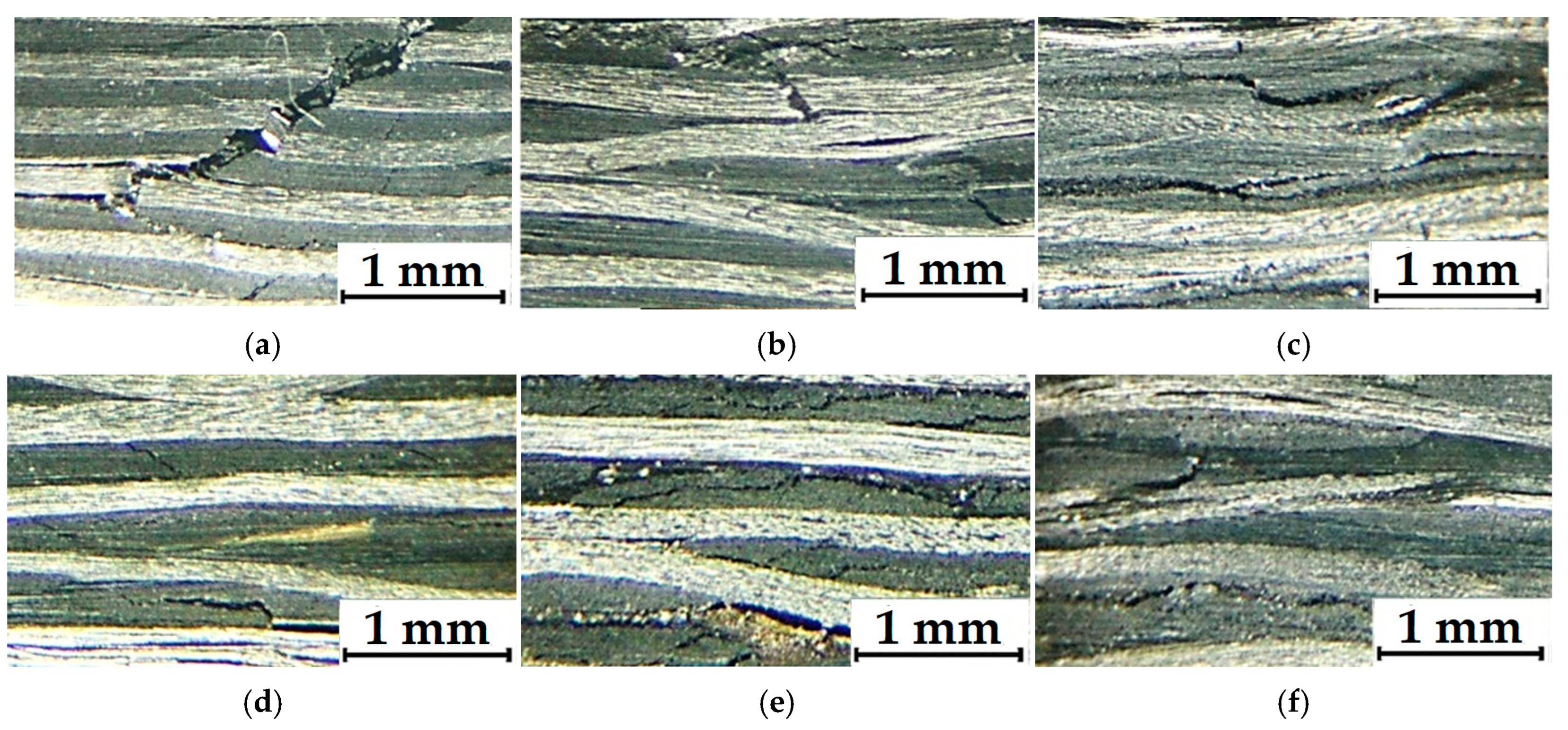 Polymers 17 01468 g007