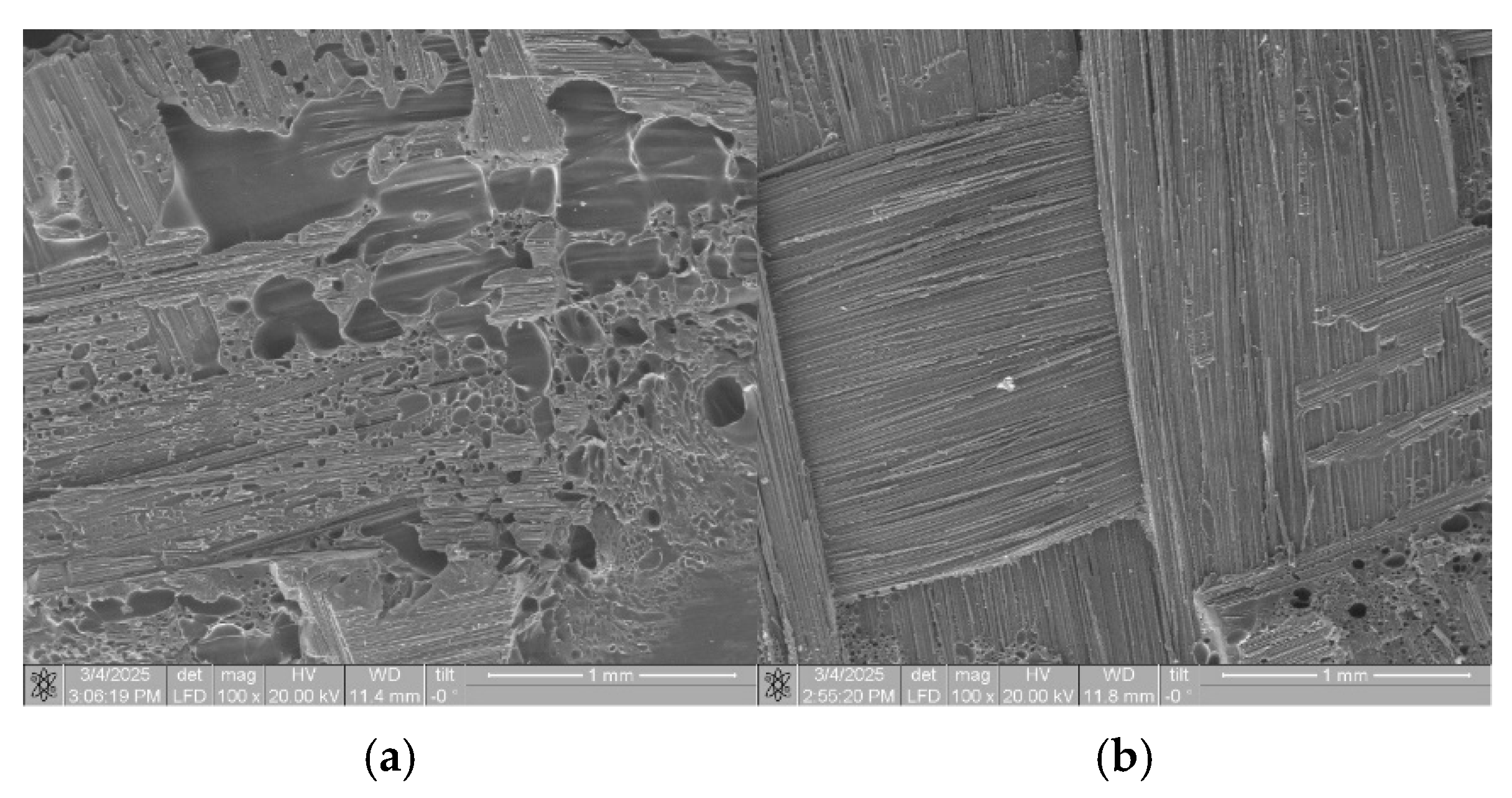 Polymers 17 01468 g022