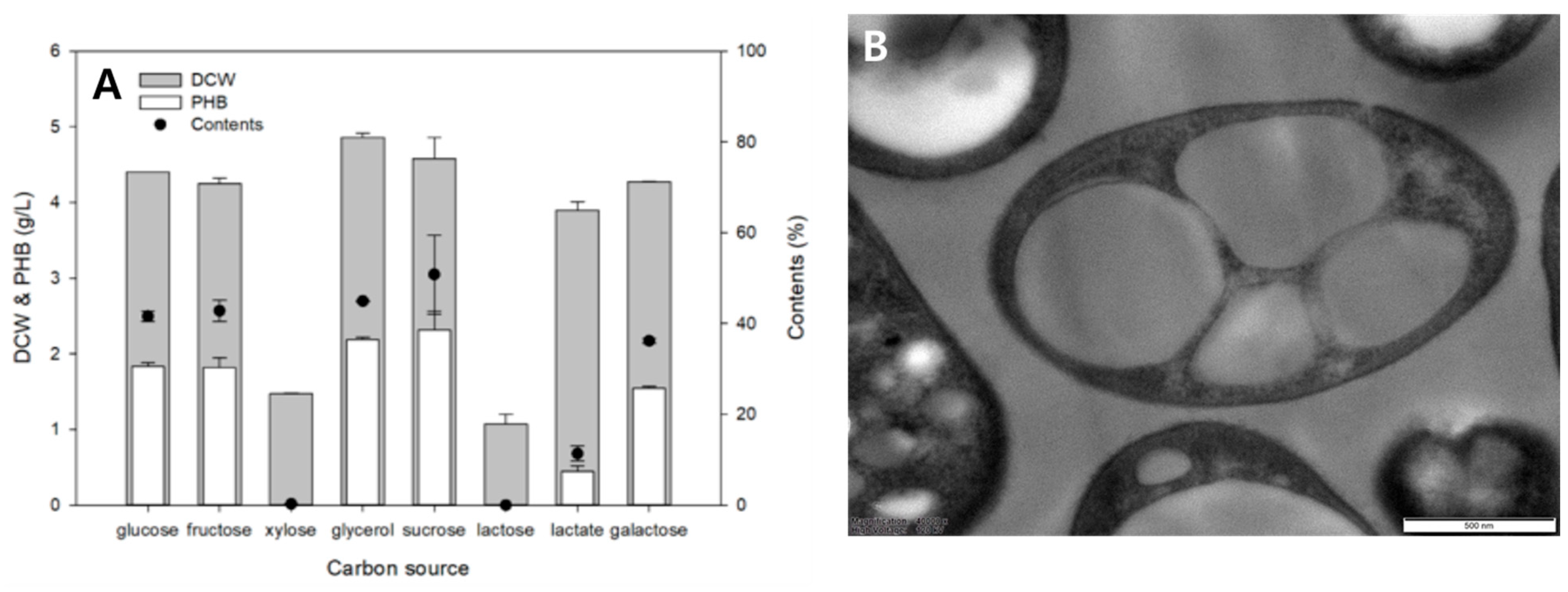 Polymers 17 01471 g002