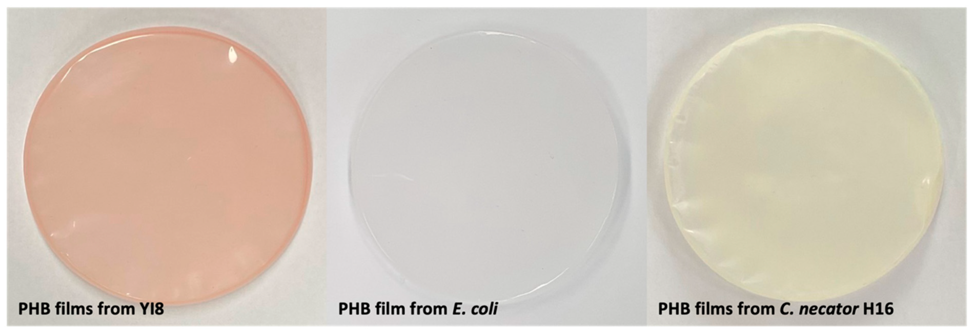 Polymers 17 01471 g006