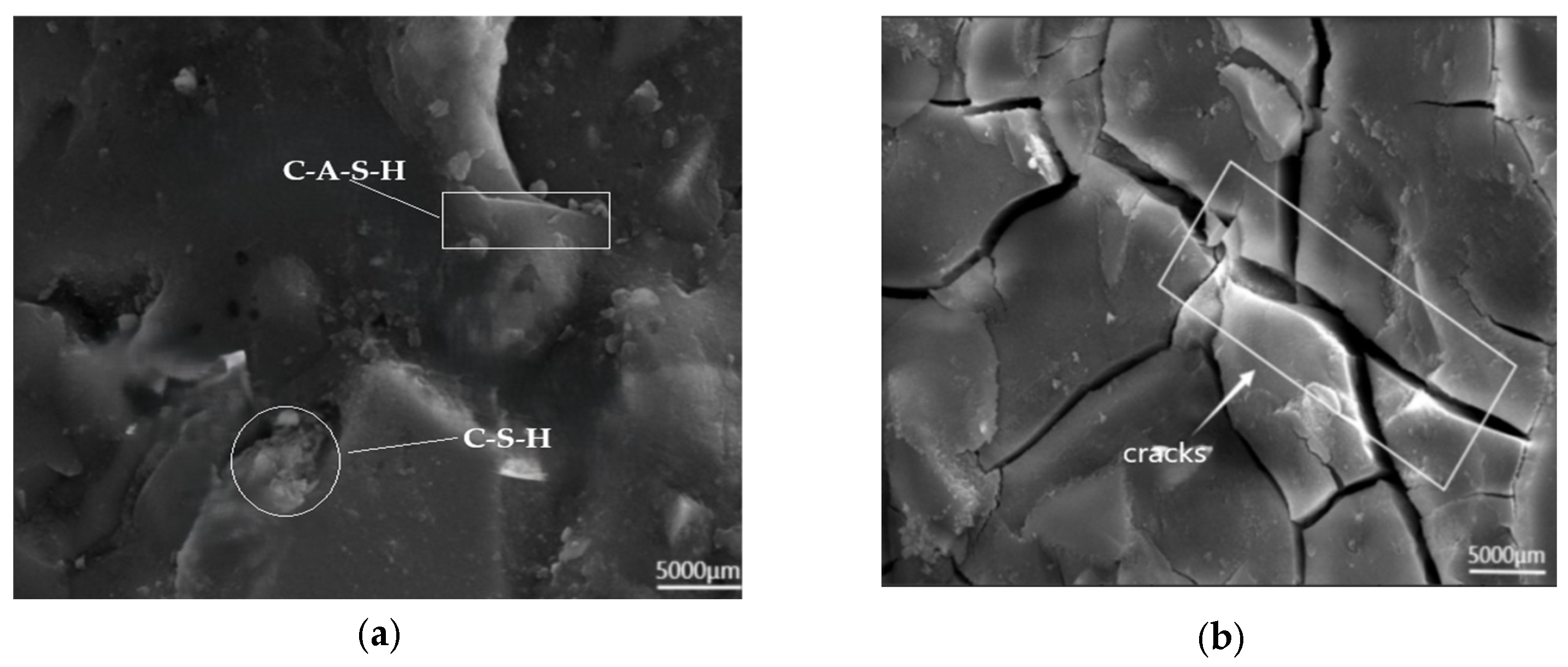 Polymers 17 01474 g022