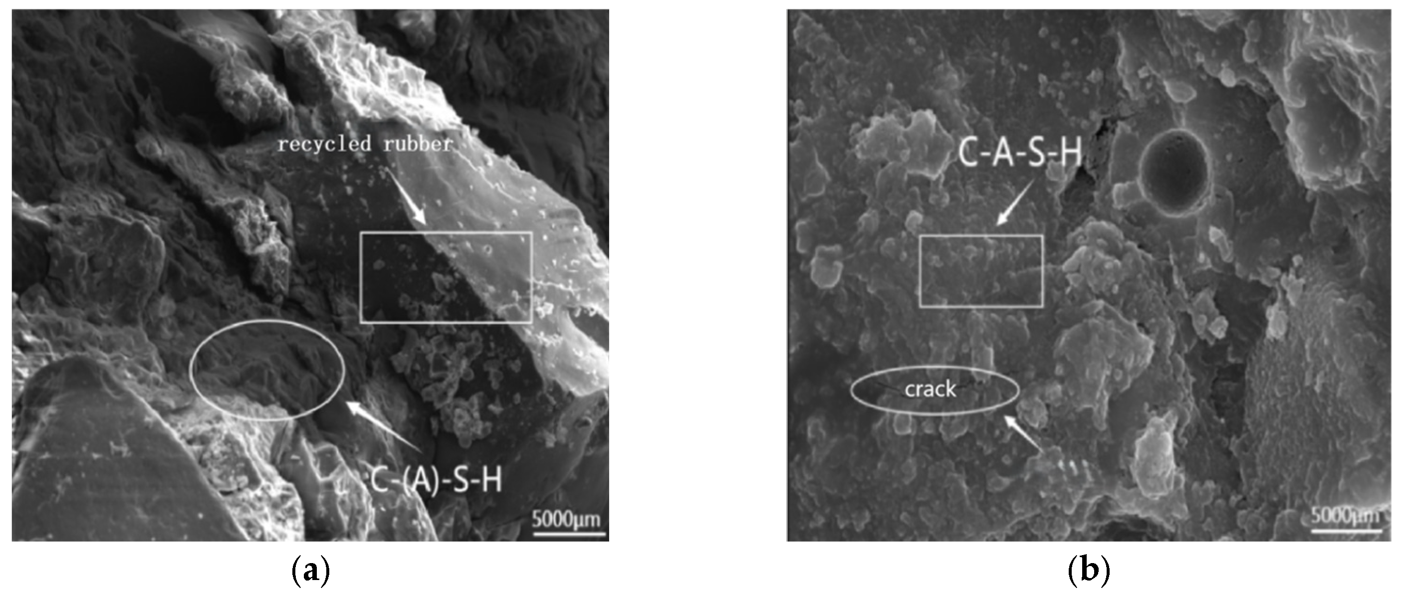 Polymers 17 01474 g024