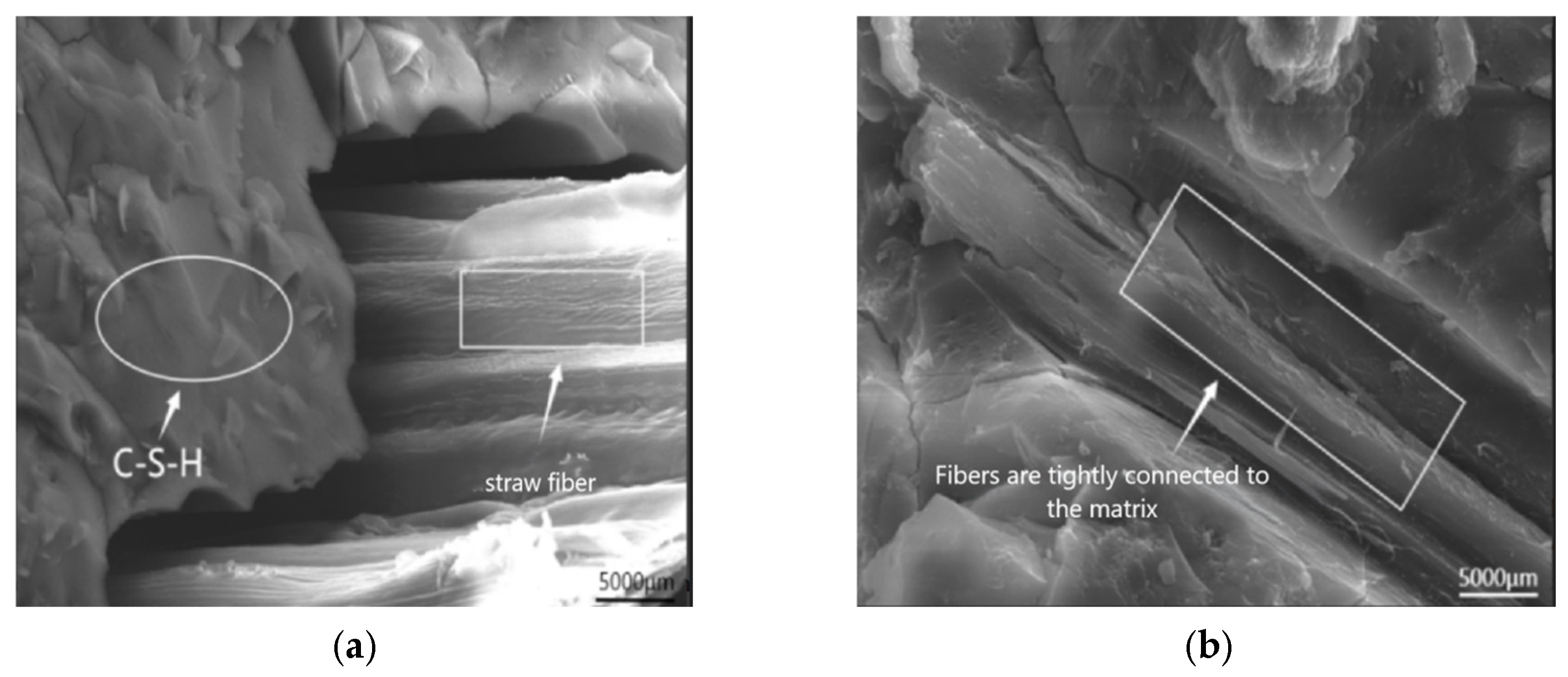 Polymers 17 01474 g026