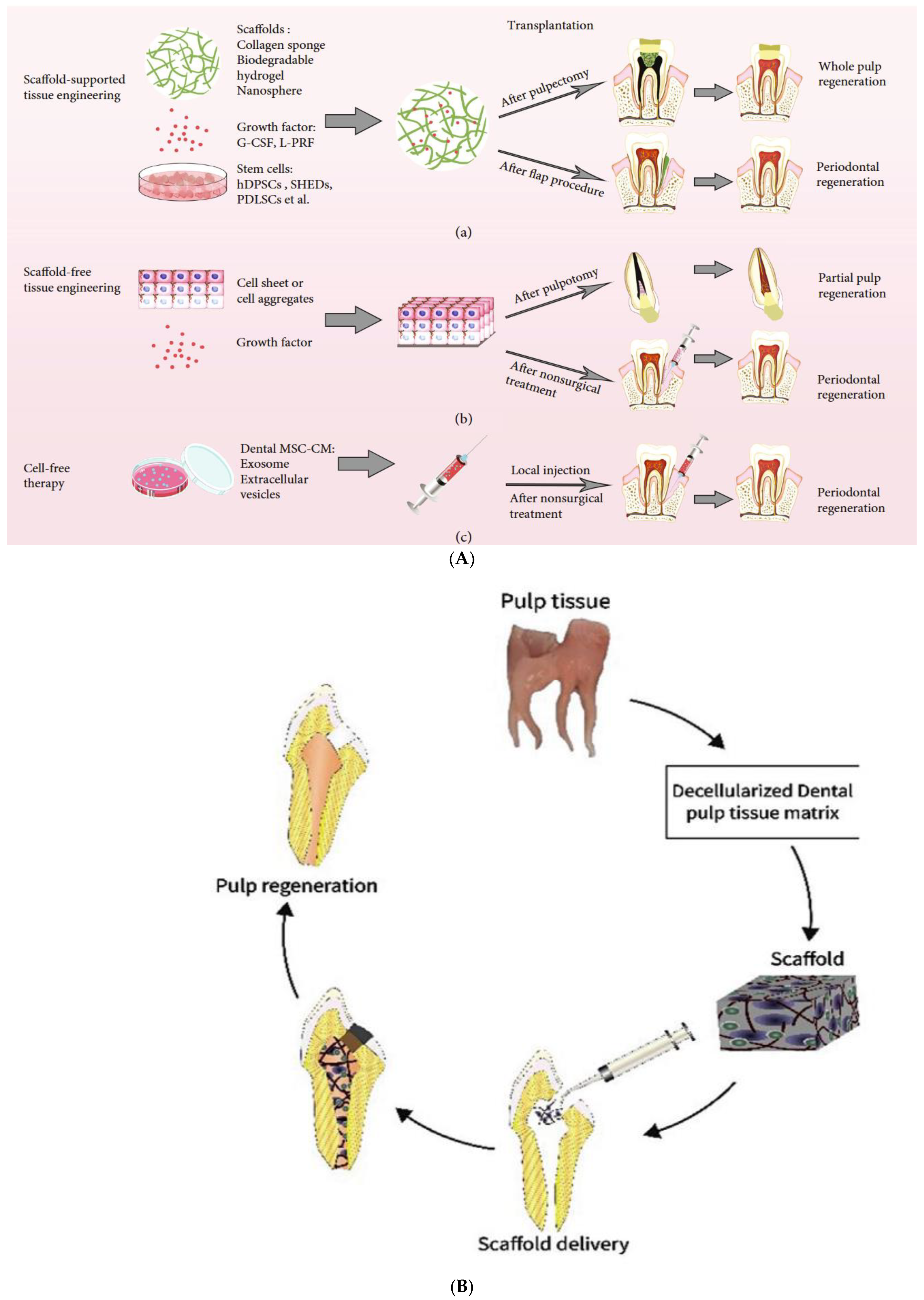 Polymers 17 01475 g001 Polymers 17 01475 g001