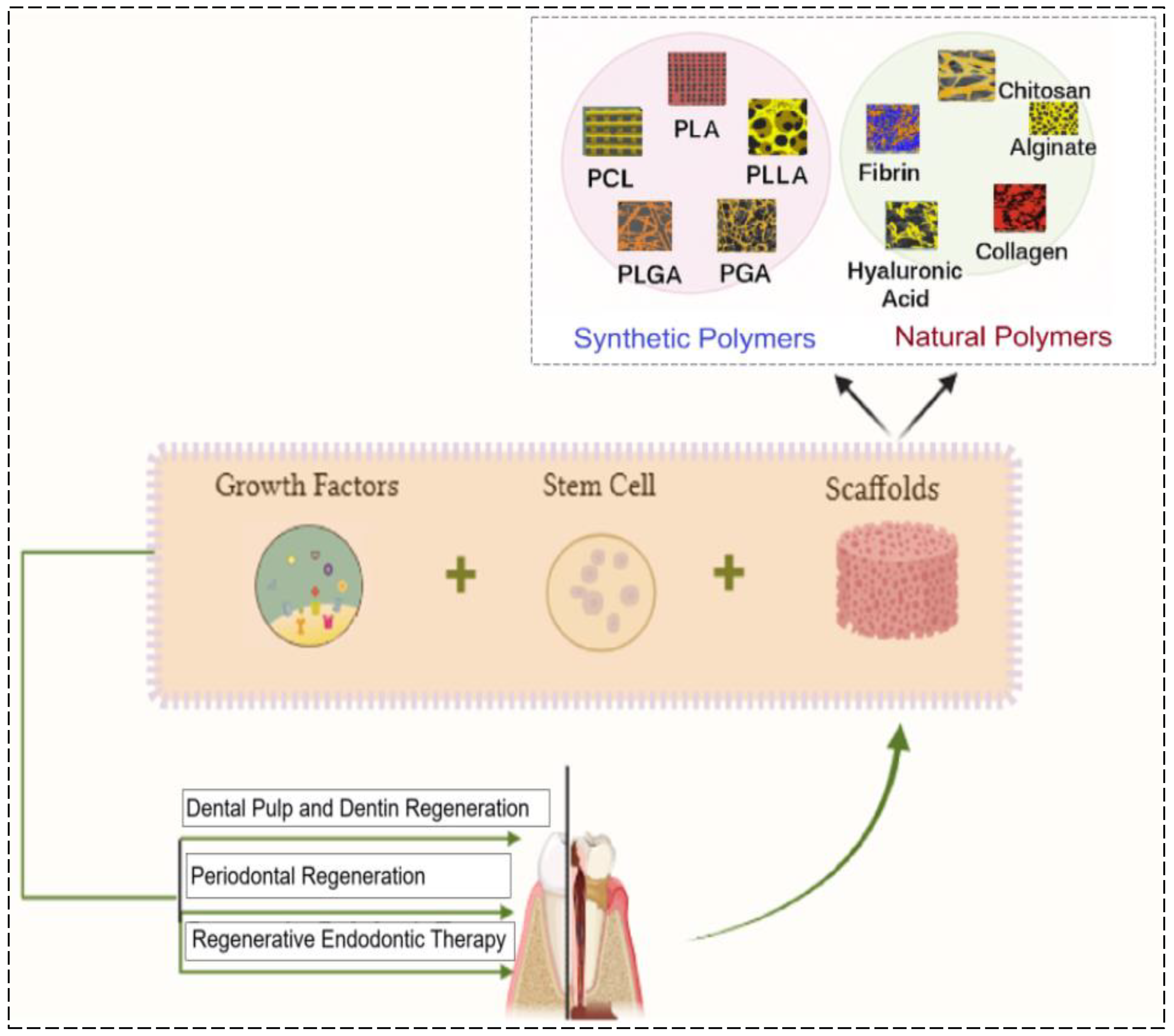 Polymers 17 01475 g002 Polymers 17 01475 g002