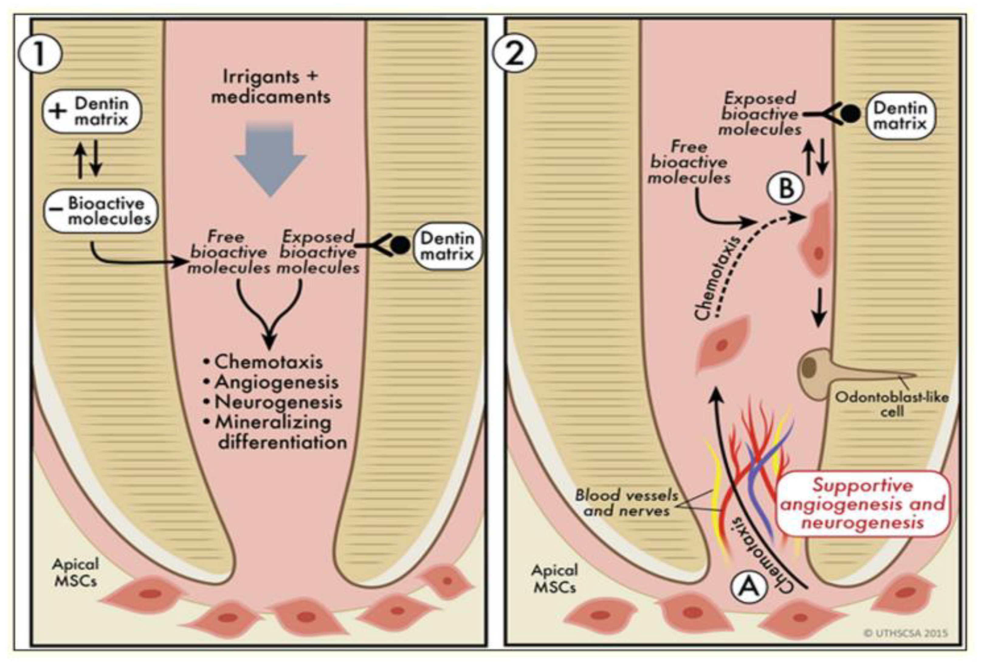 Polymers 17 01475 g003 Polymers 17 01475 g003