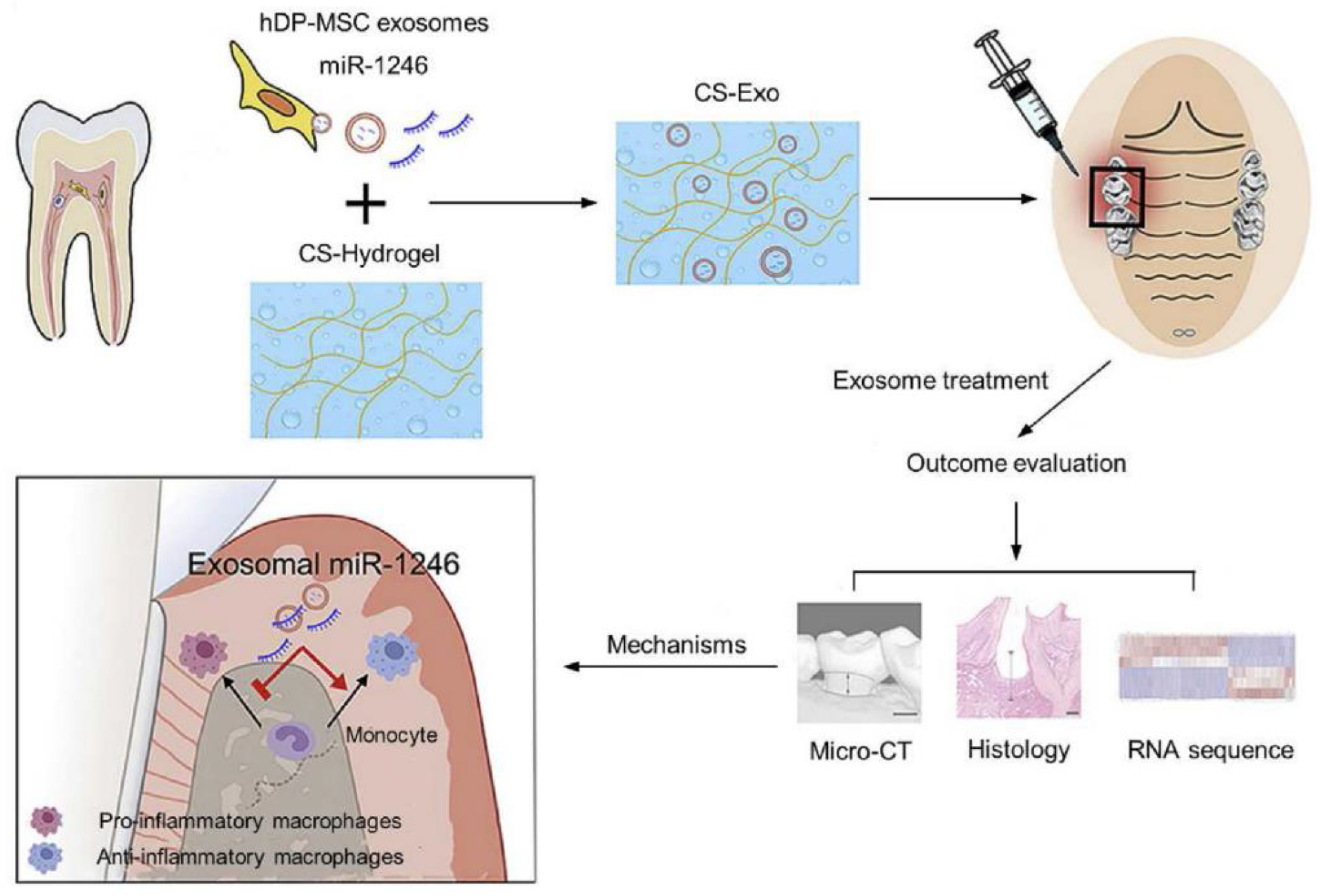 Polymers 17 01475 g004 Polymers 17 01475 g004