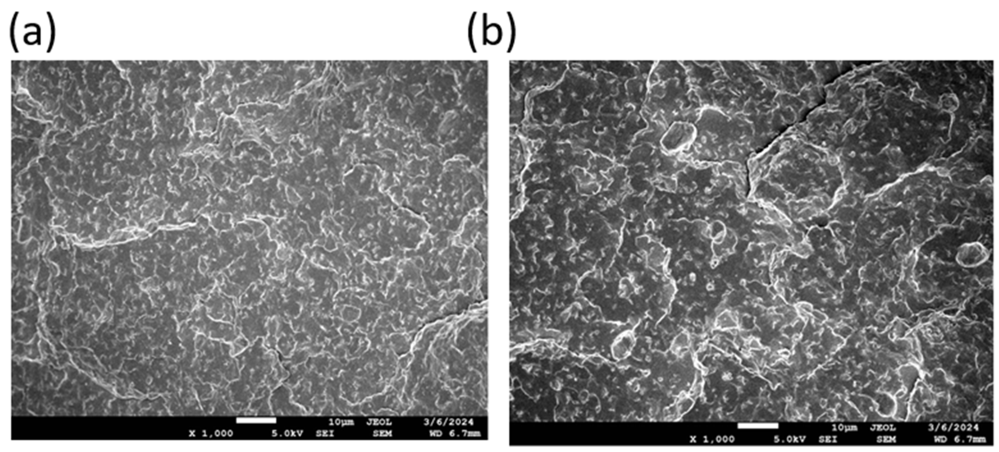 Polymers 17 01477 g010