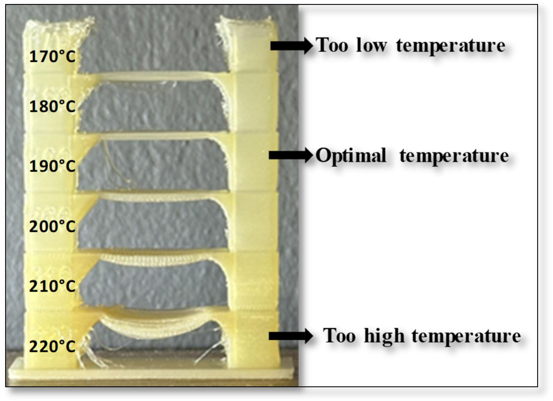 Polymers 17 01477 g012
