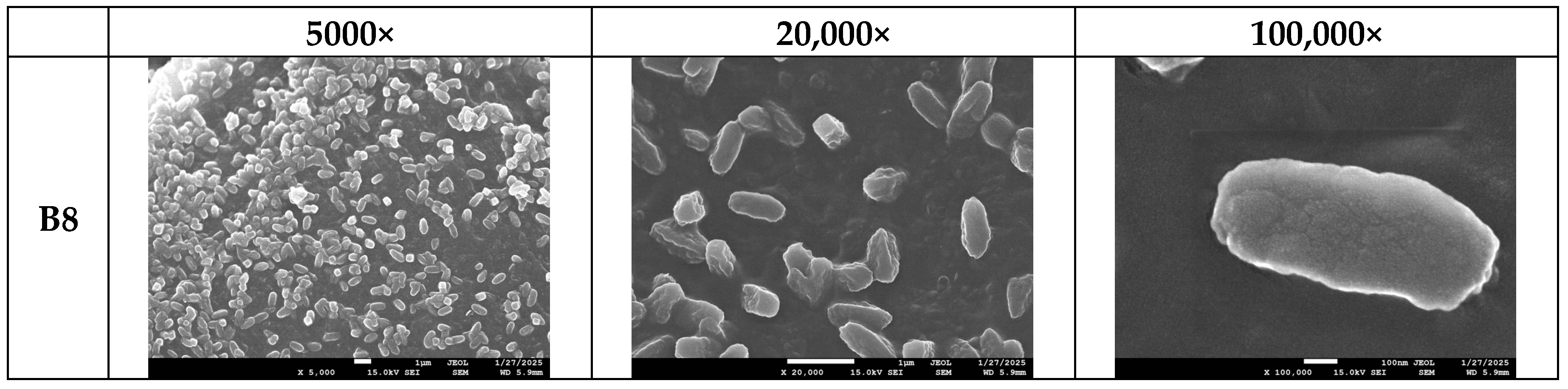 Polymers 17 01477 g020