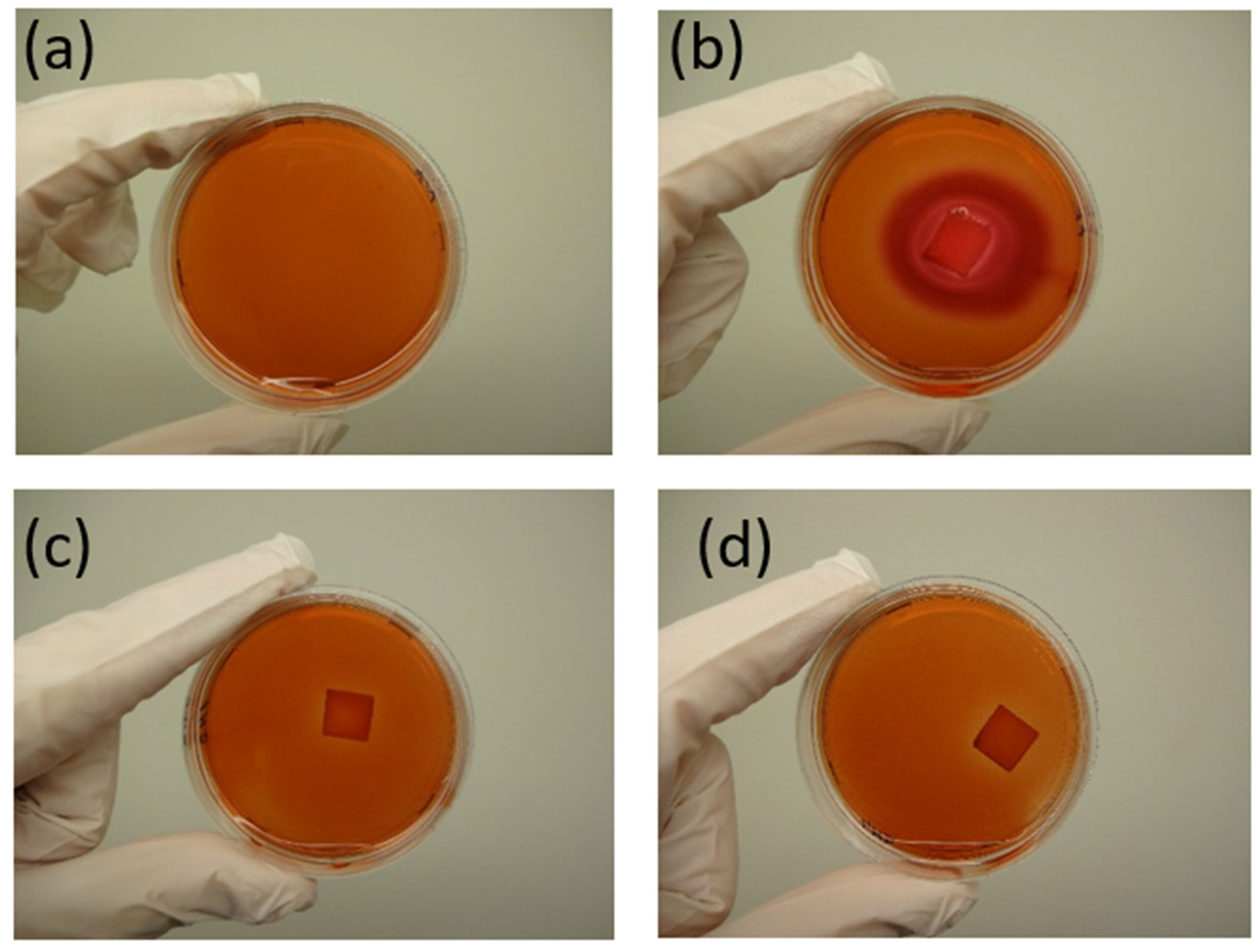 Polymers 17 01477 g021