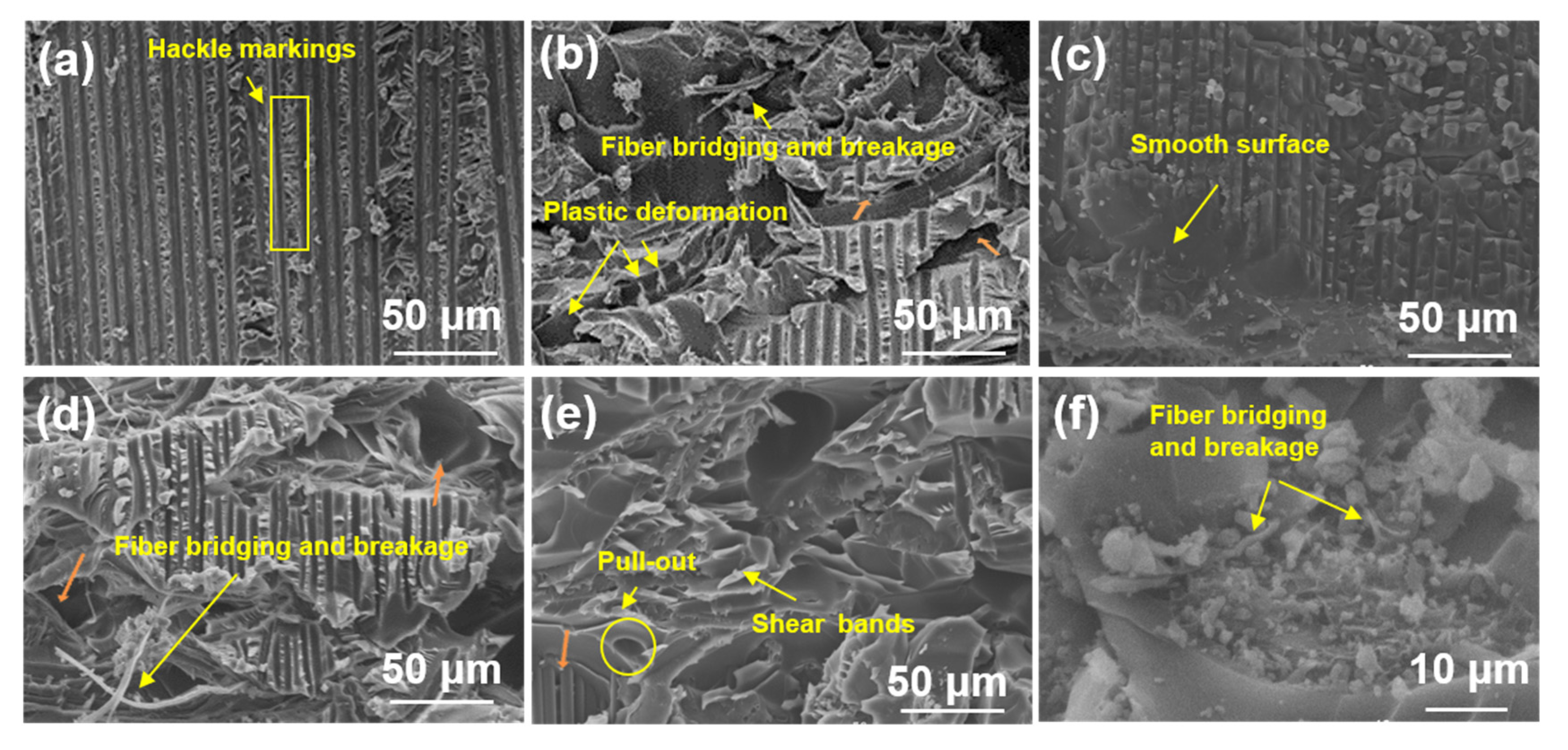 Polymers 17 01480 g009