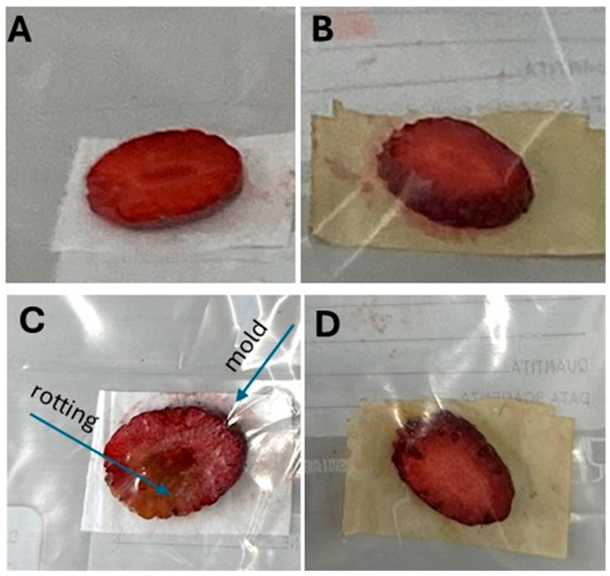 Polymers 17 01482 g011