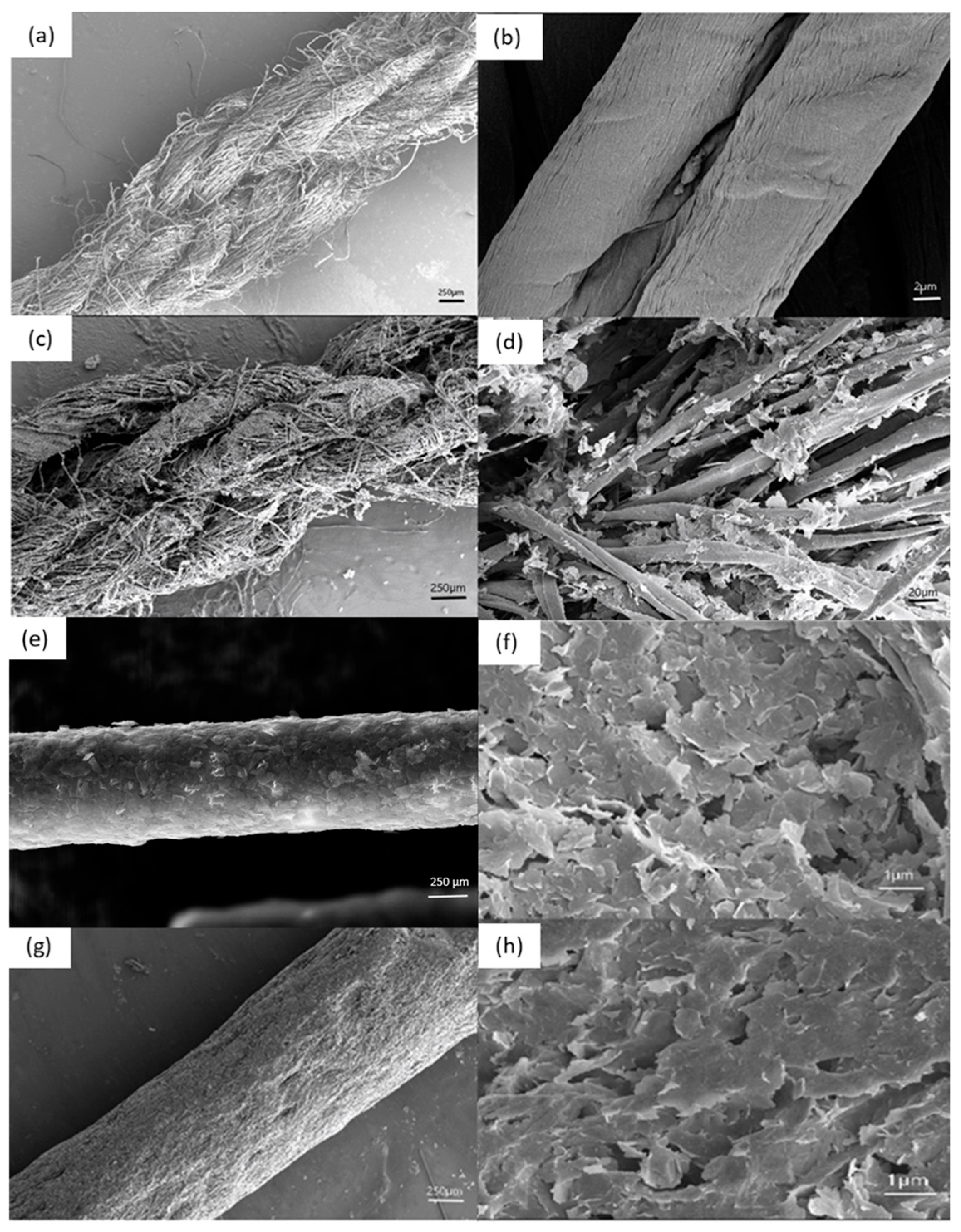 Polymers 17 01484 g004