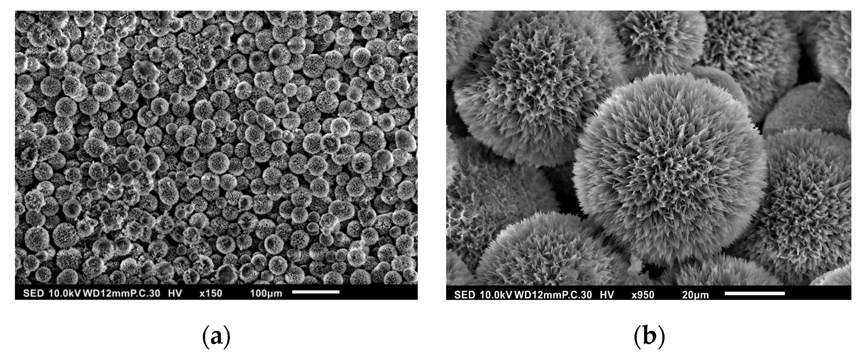 Polymers 17 01485 g002