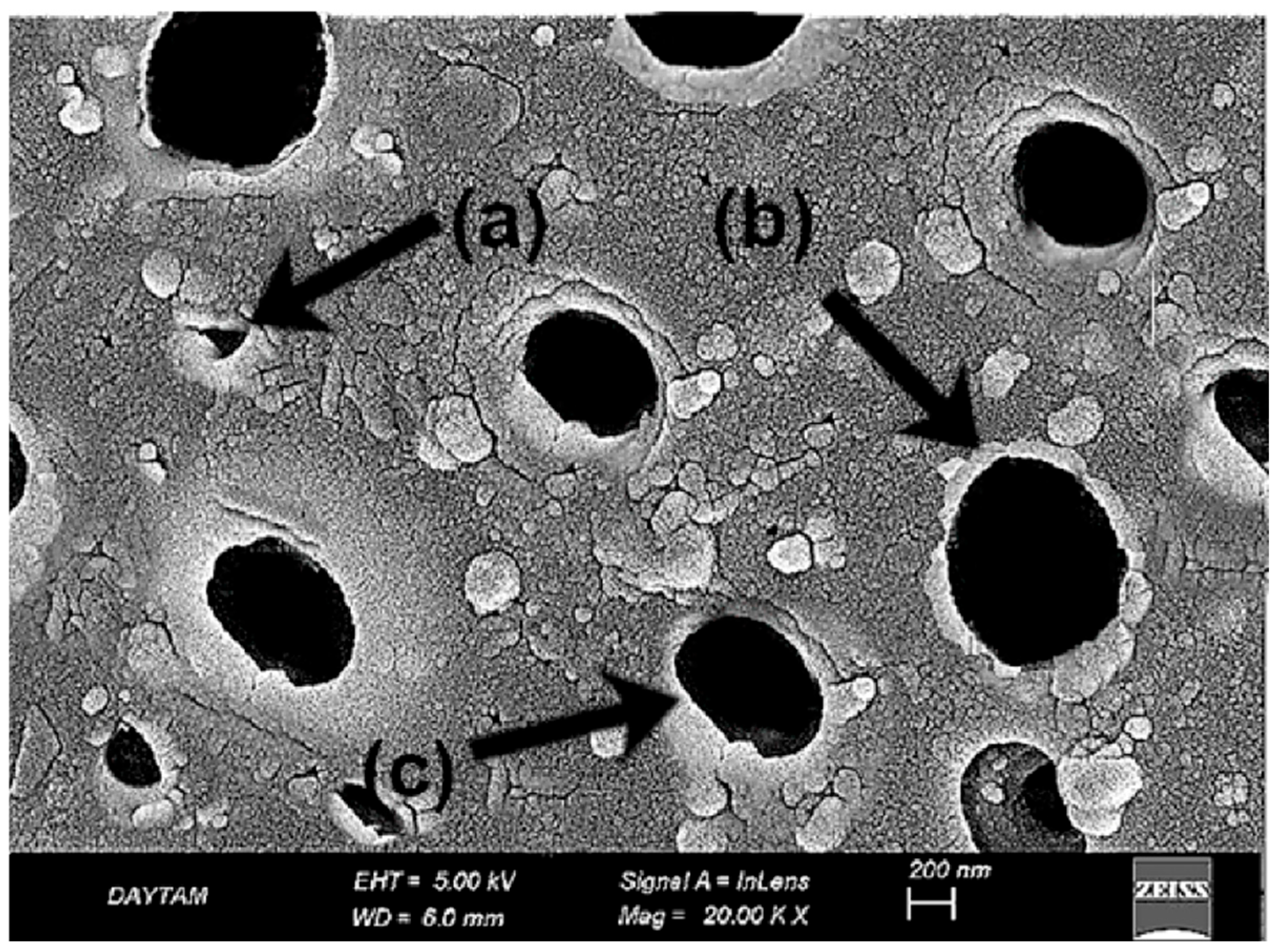 Polymers 17 01488 g007