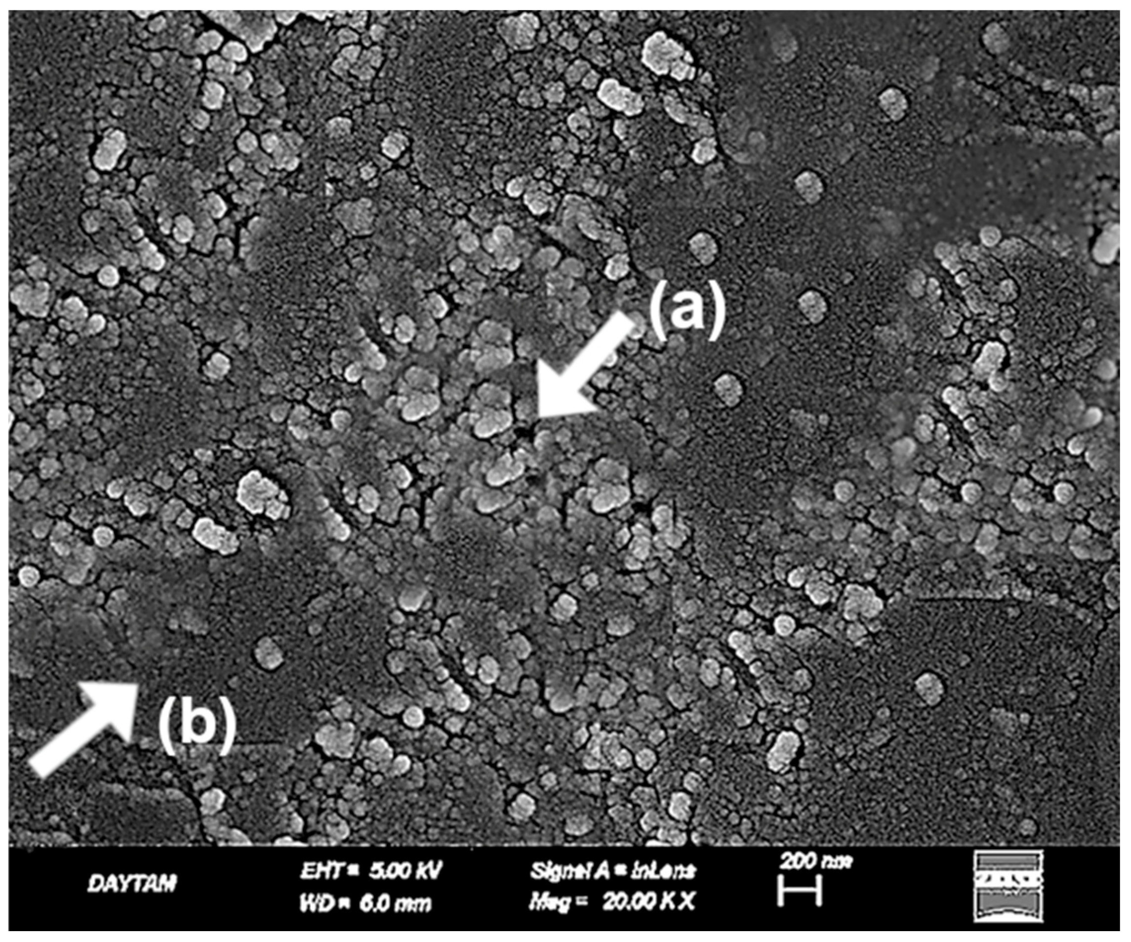 Polymers 17 01488 g010
