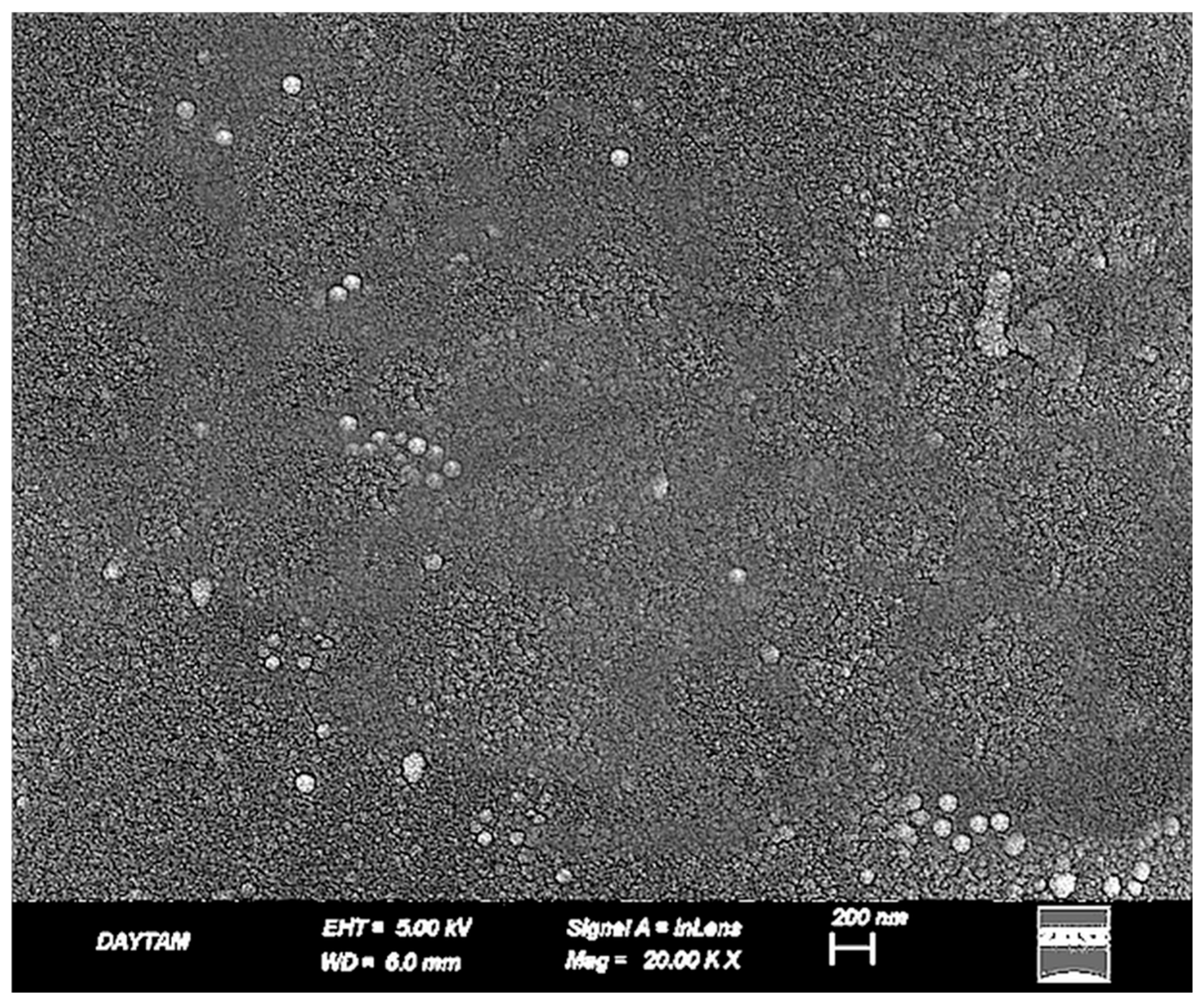 Polymers 17 01488 g011