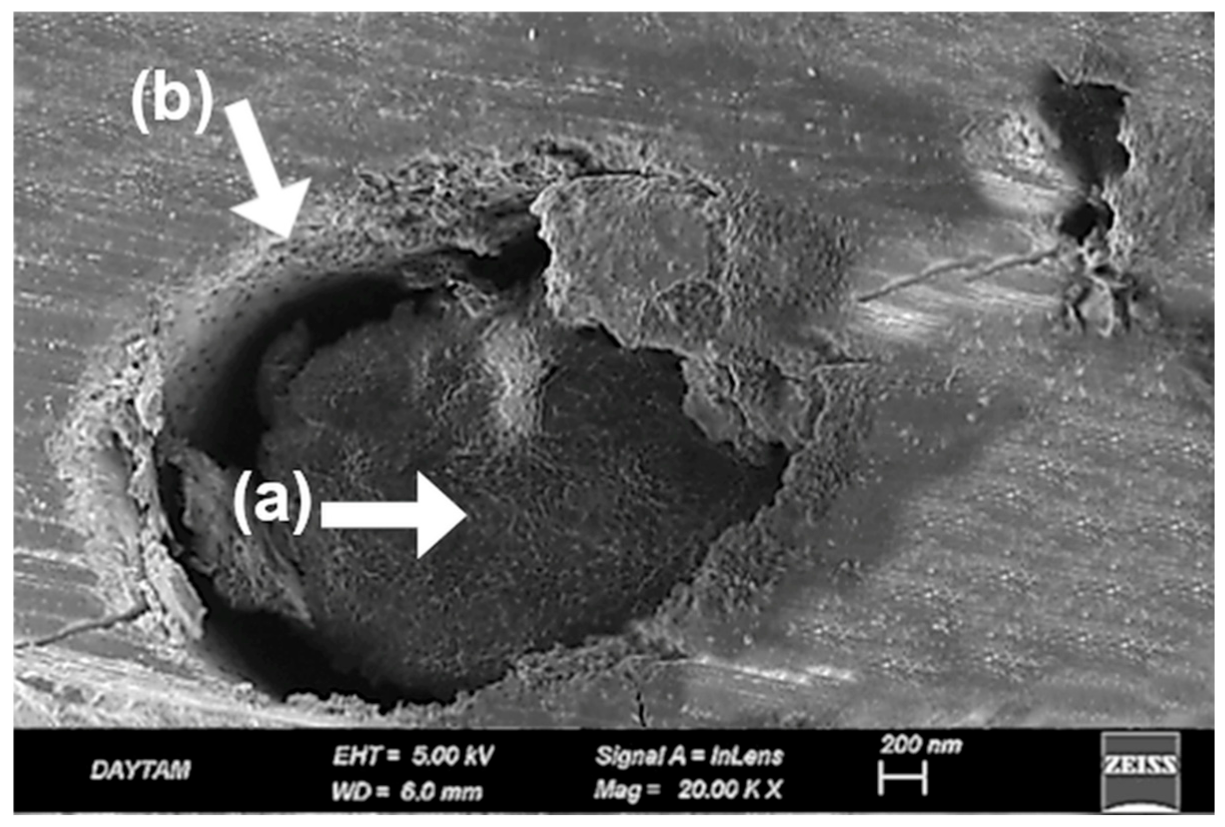 Polymers 17 01488 g013