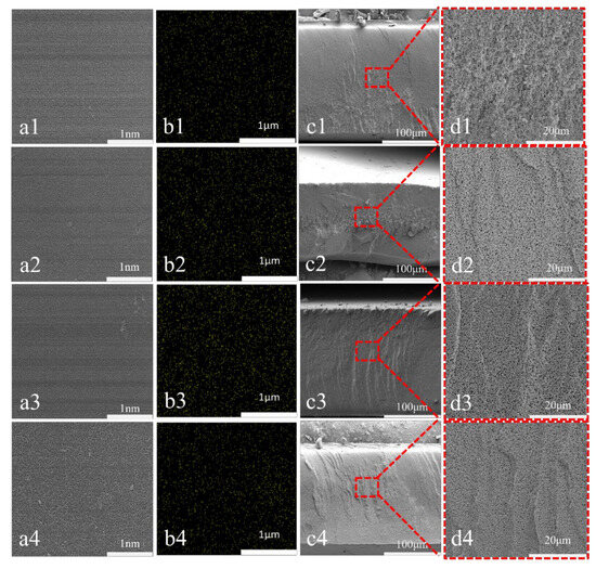 Preparation of Highly Antibacterial MXene Nanofiltration