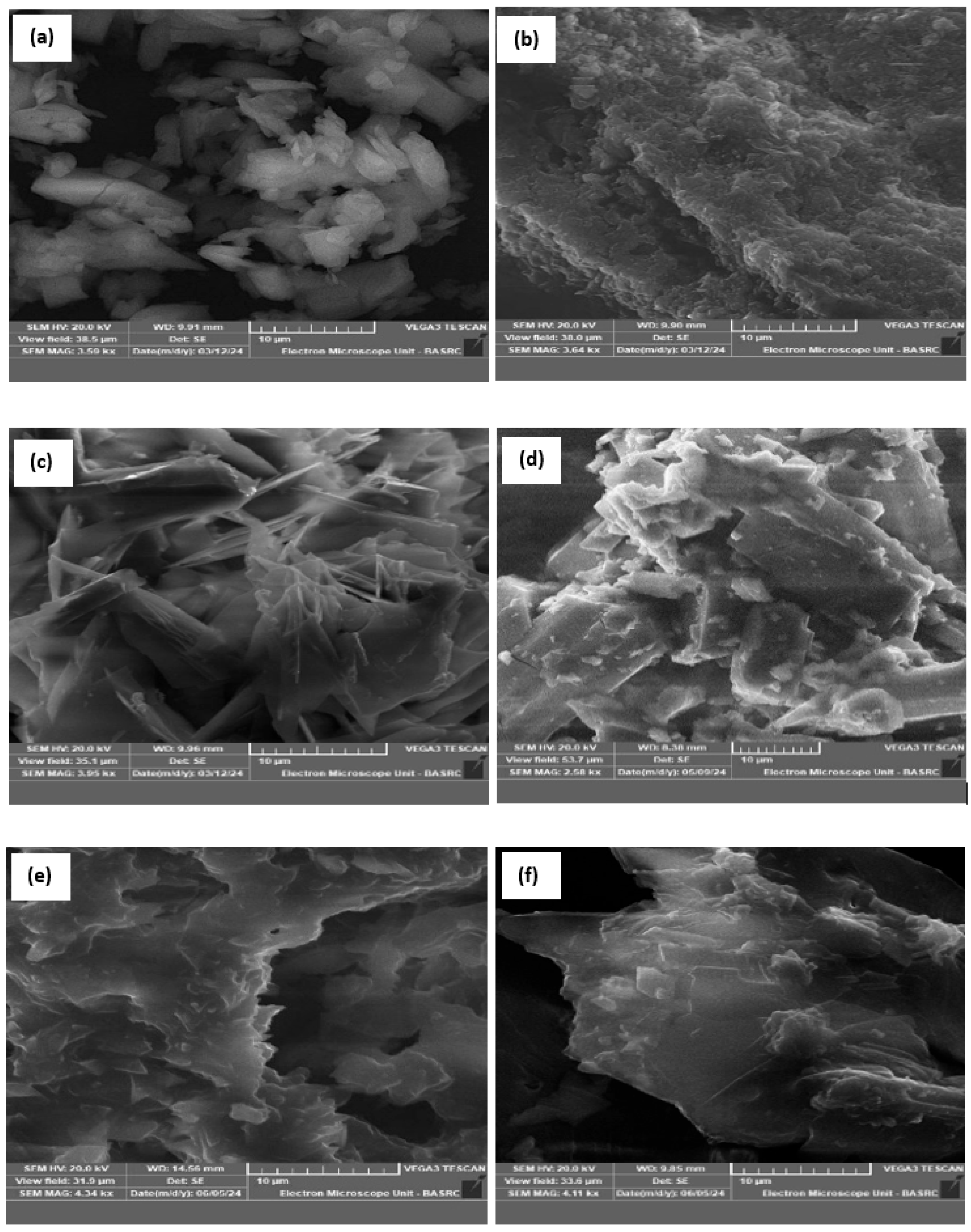 Polymers 17 01494 g004