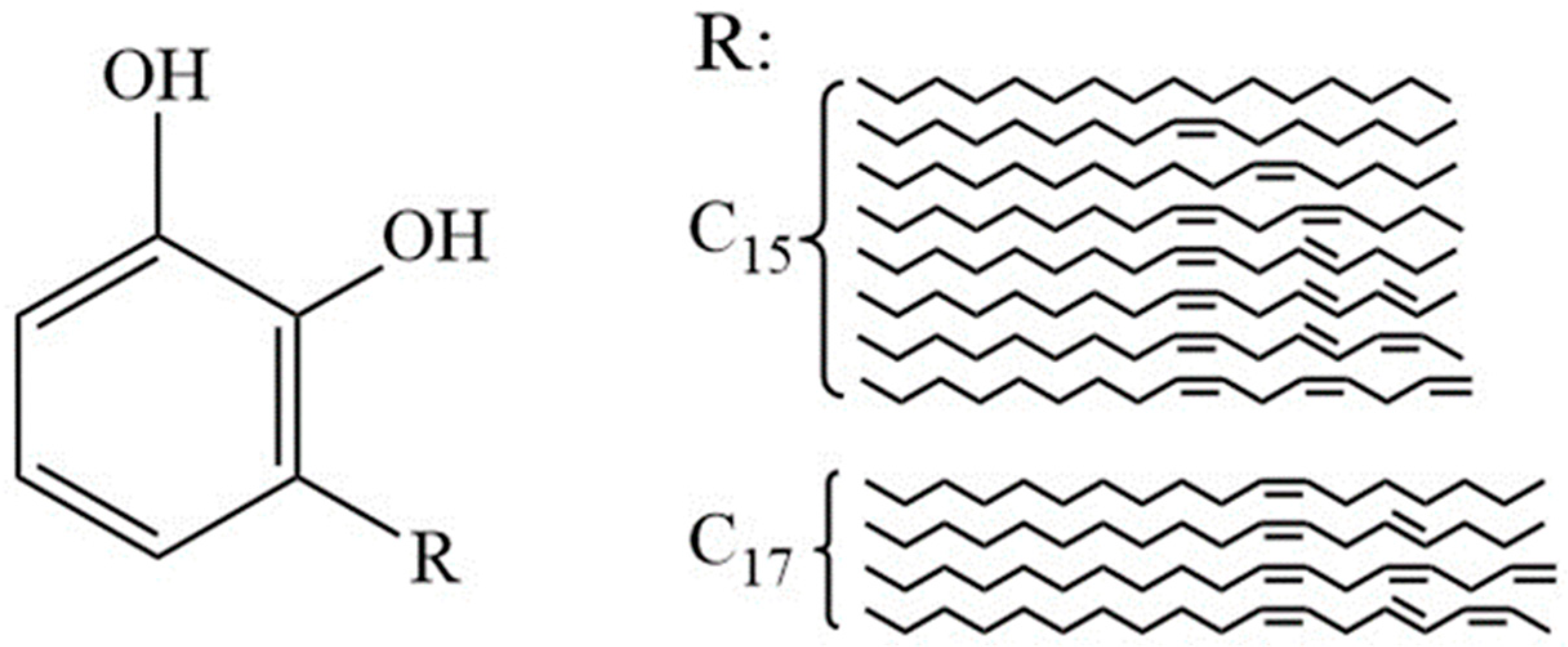 Polymers 17 01500 g001 Polymers 17 01500 g001