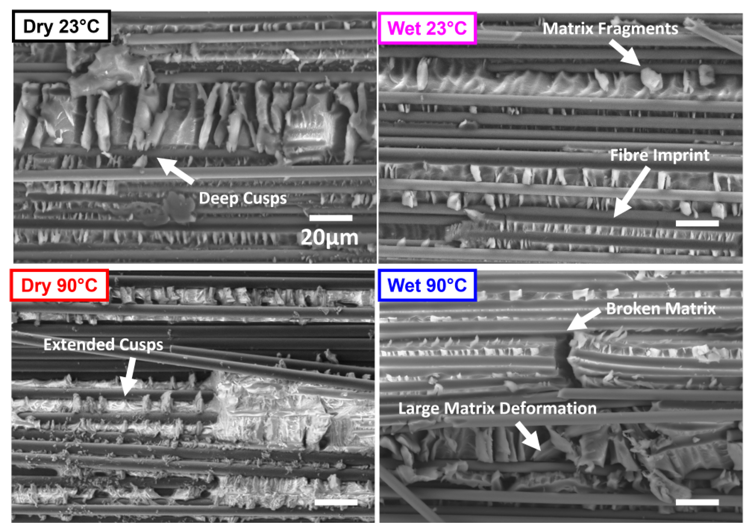 Polymers 17 01503 g017