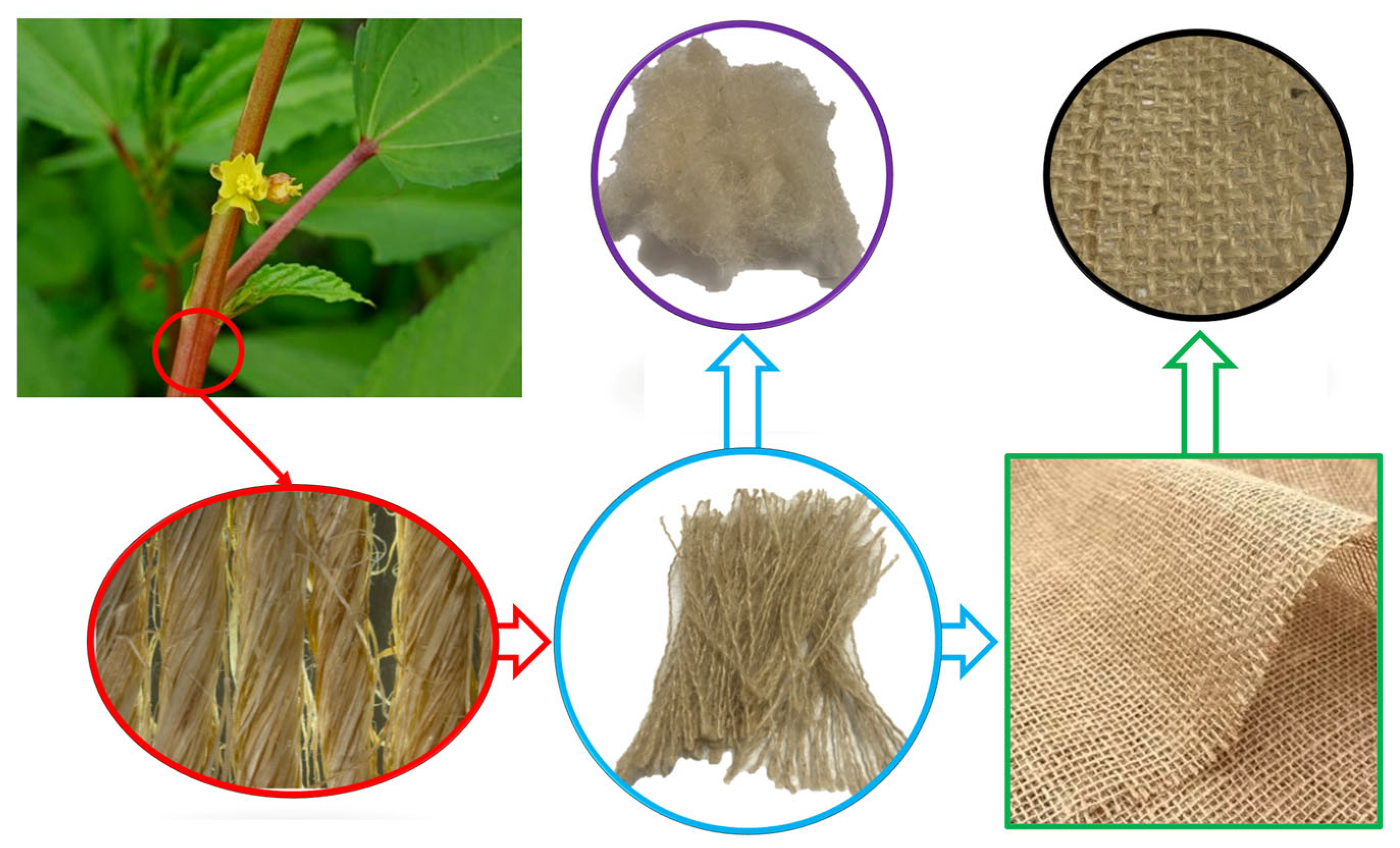 Polymers 17 01504 g002