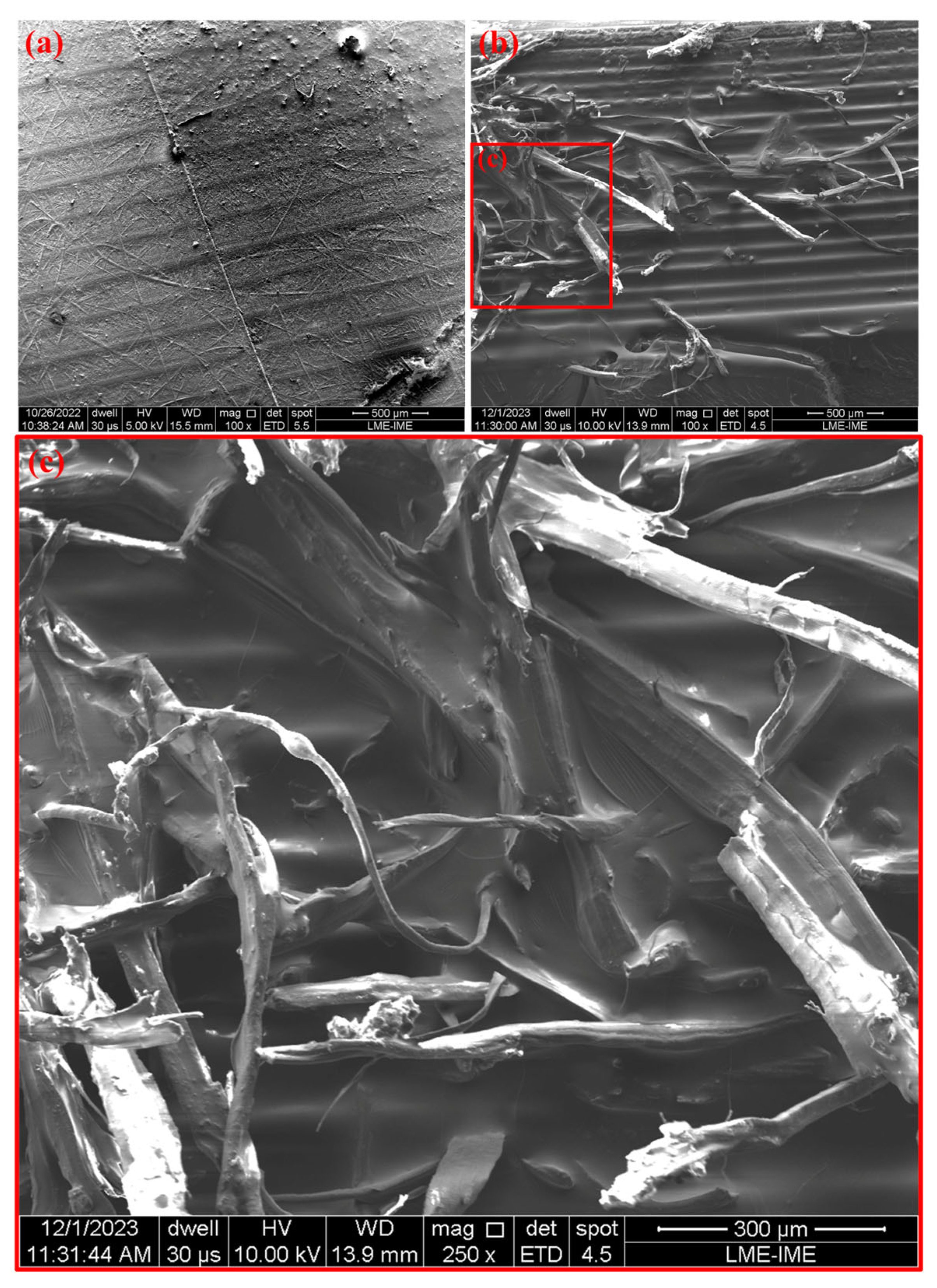 Polymers 17 01504 g012