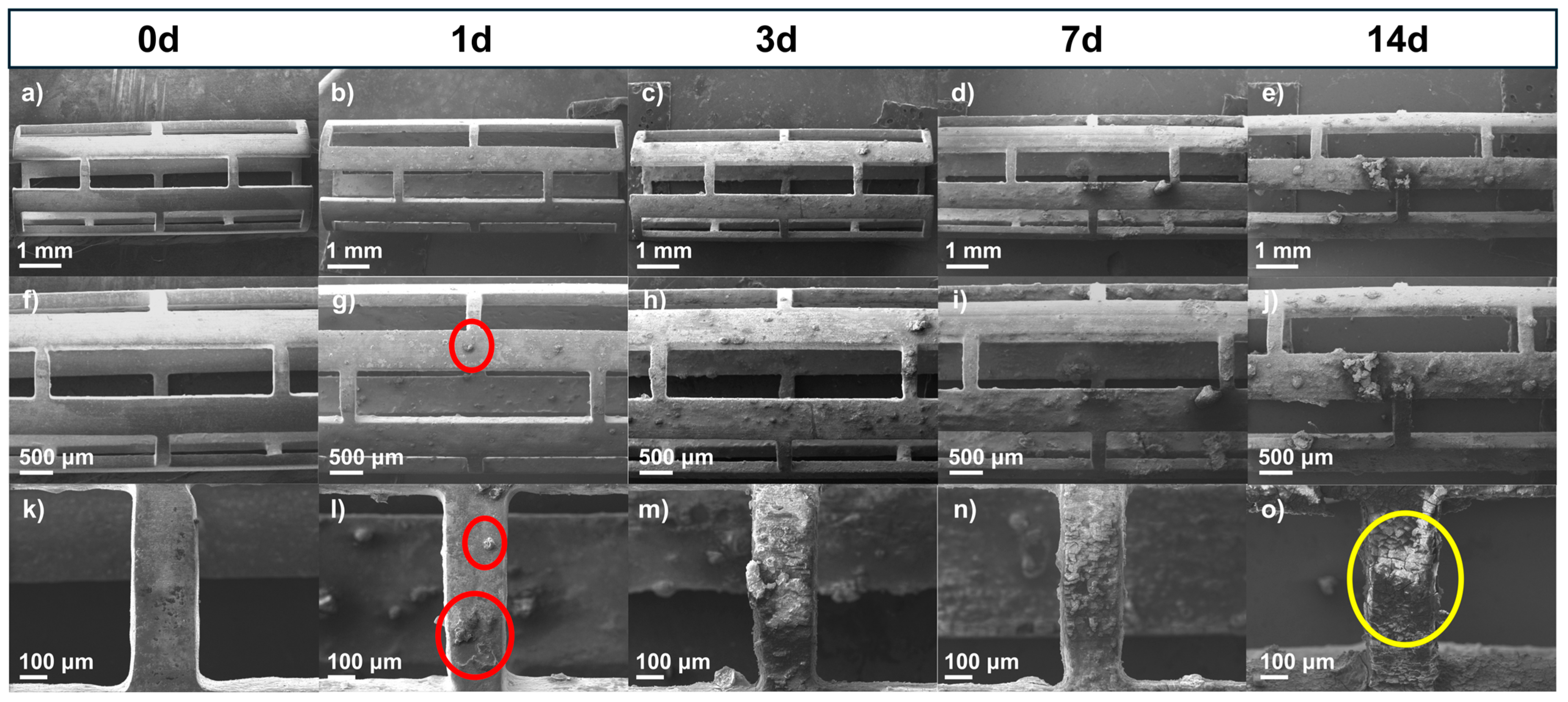 Polymers 17 01510 g004