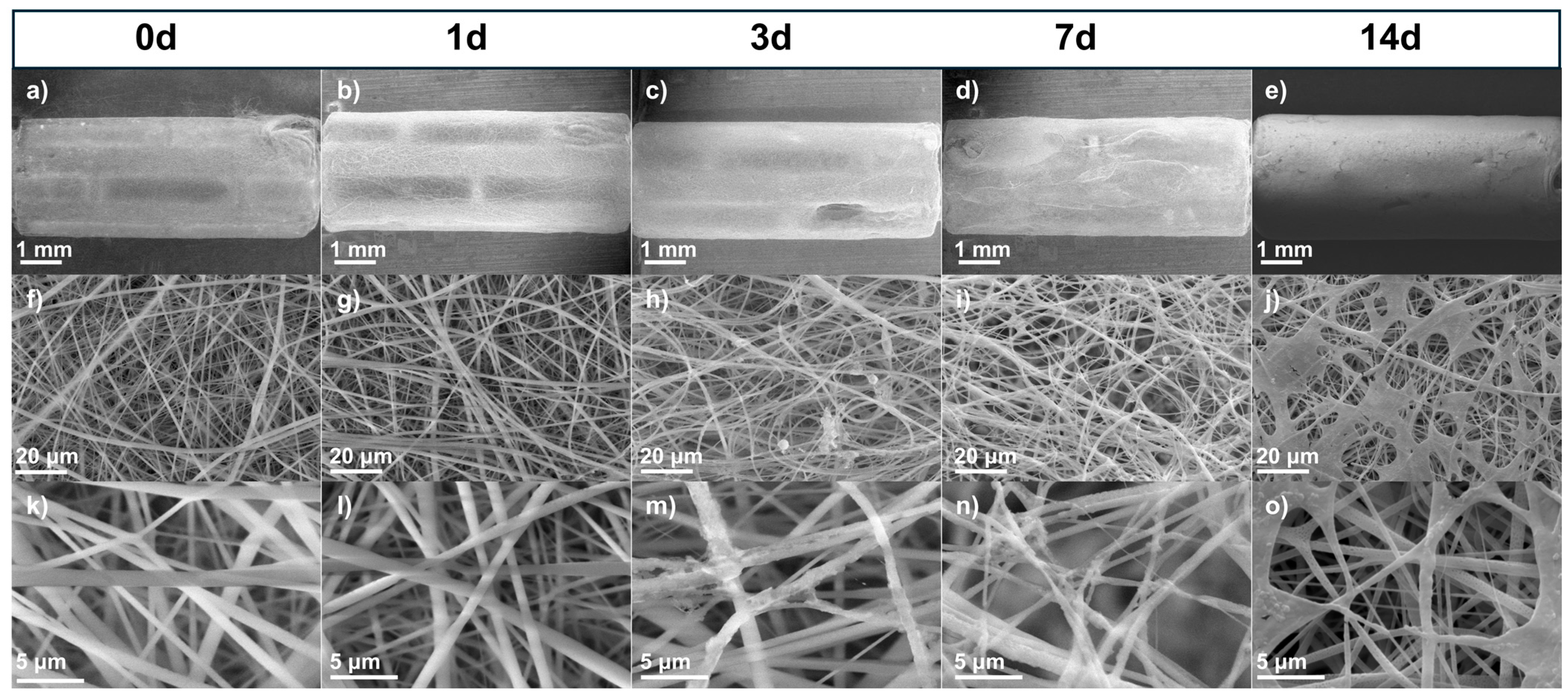 Polymers 17 01510 g005