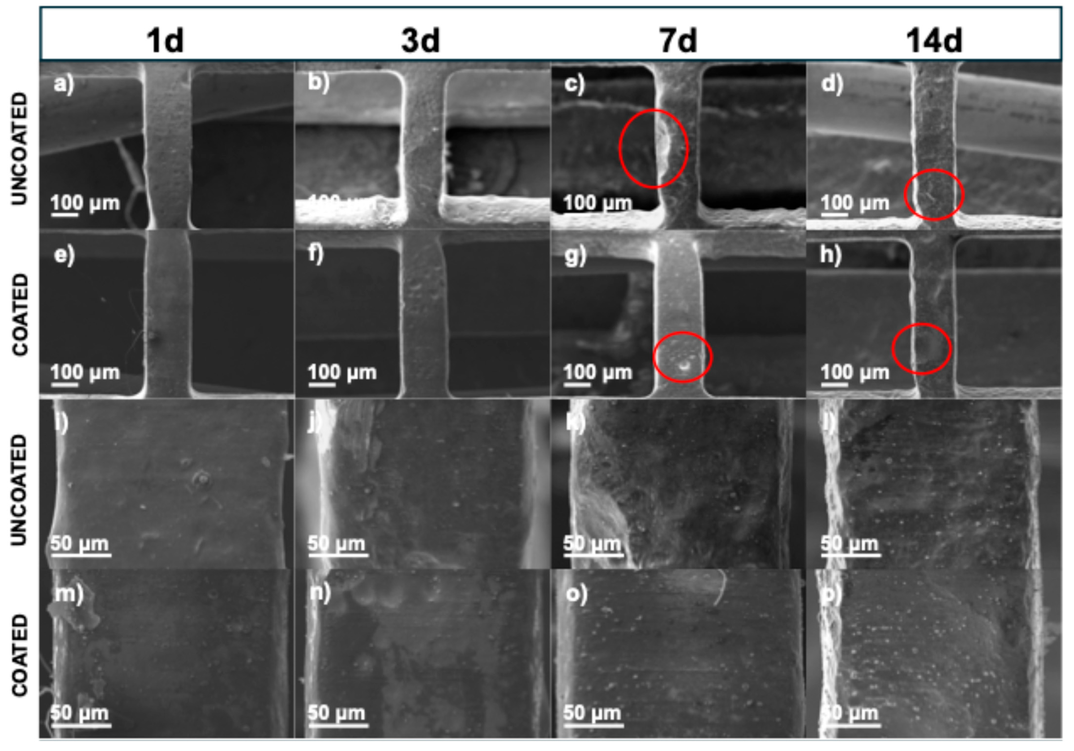 Polymers 17 01510 g009