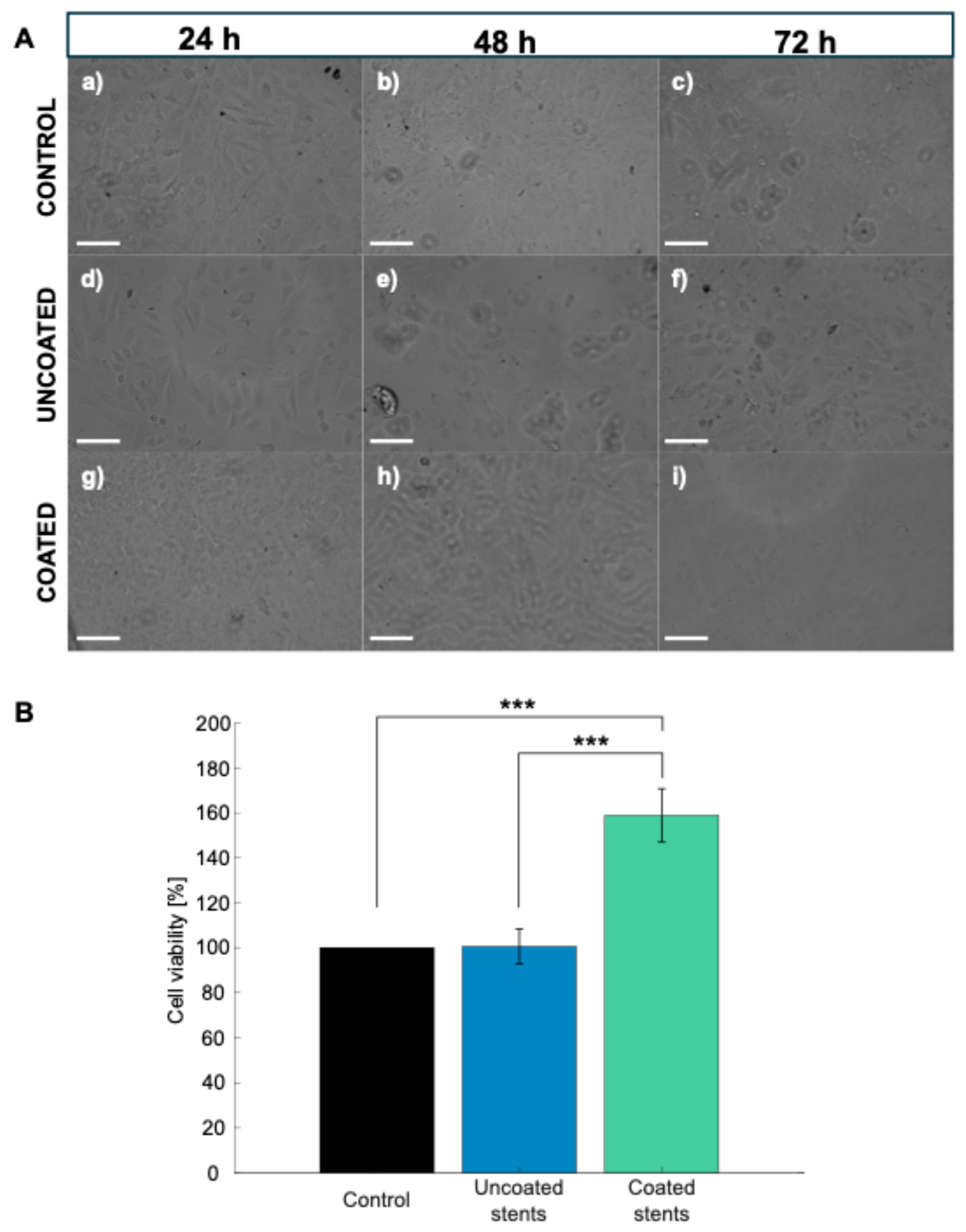 Polymers 17 01510 g011