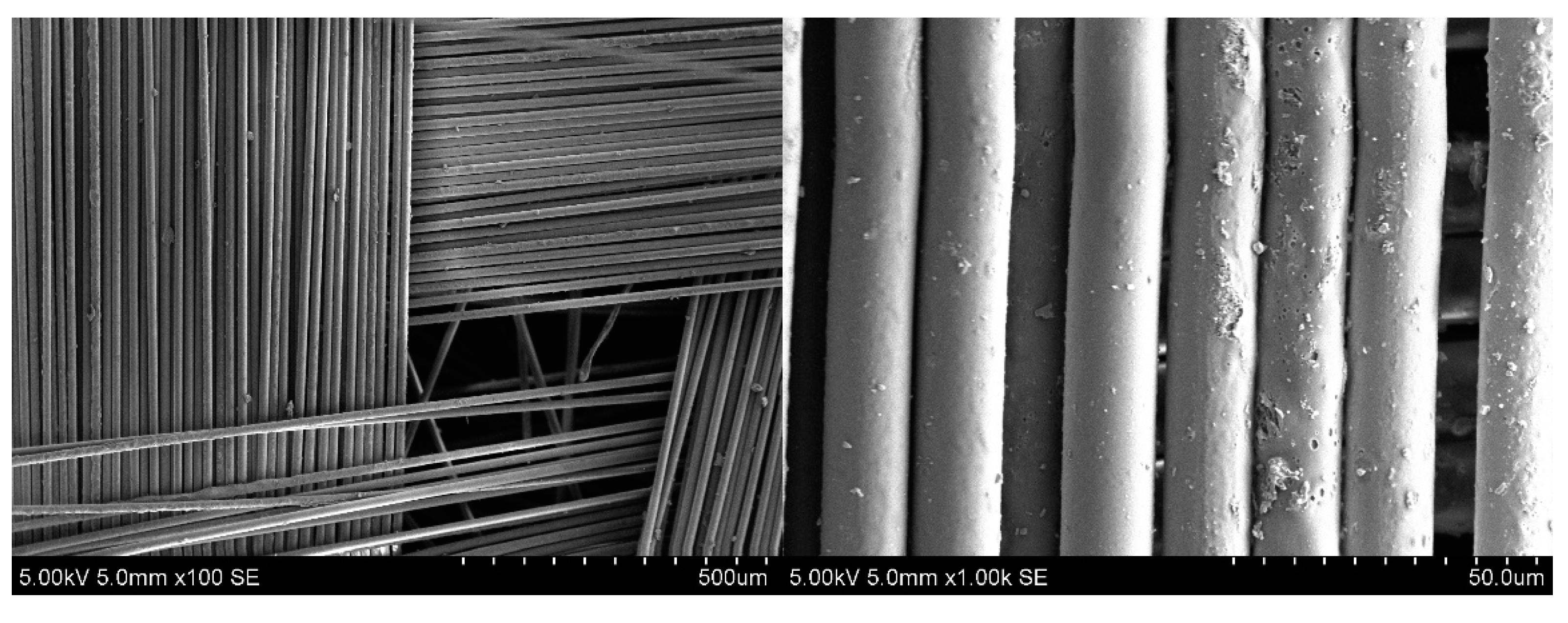 Polymers 17 01513 g010